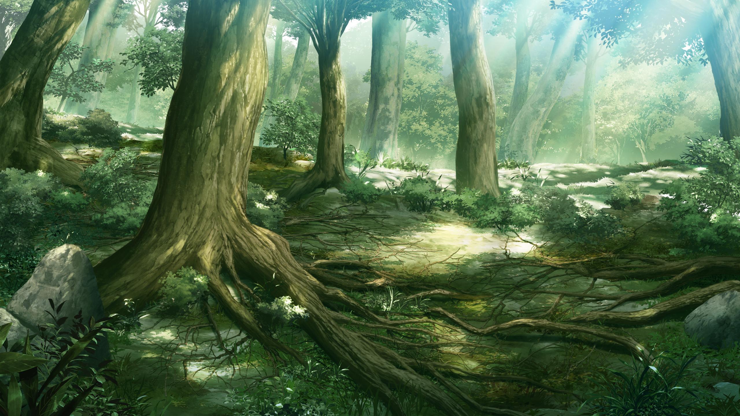 2560x1440 Free download Anime Forest Wallpaper Top Free Anime Forest Background [2560x1440] for your Desktop, Mobile & Tablet. Explore Anime Forest Wallpaper. Anime Forest Background, Forest Wallpaper, Forest Background