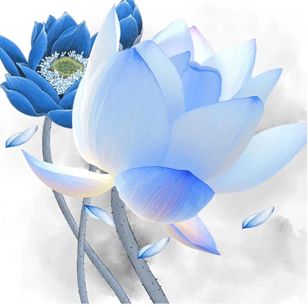 Blue Lotus Flower Wallpapers Top Free Blue Lotus Flower Backgrounds