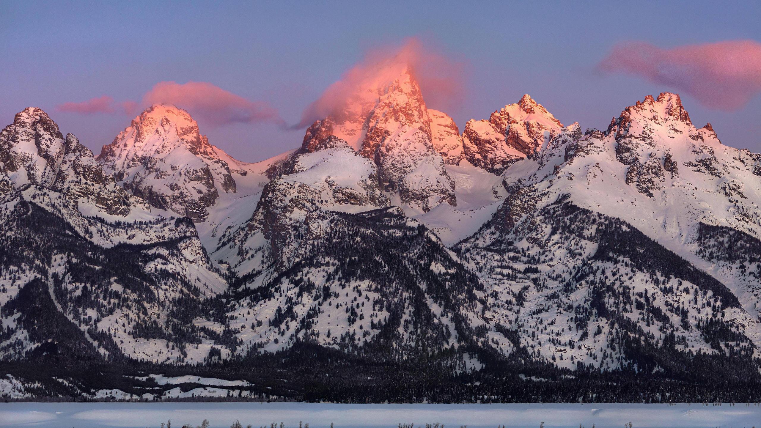 2560x1440 Grand Teton Alpenglow 5k HD 4k Wallpaper, Image, Background, Photo and Picture