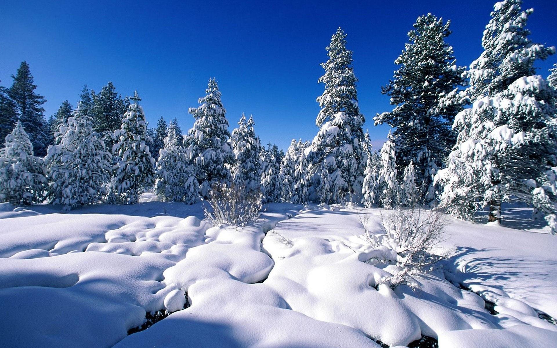1920x1200 Winter HD Wallpaper