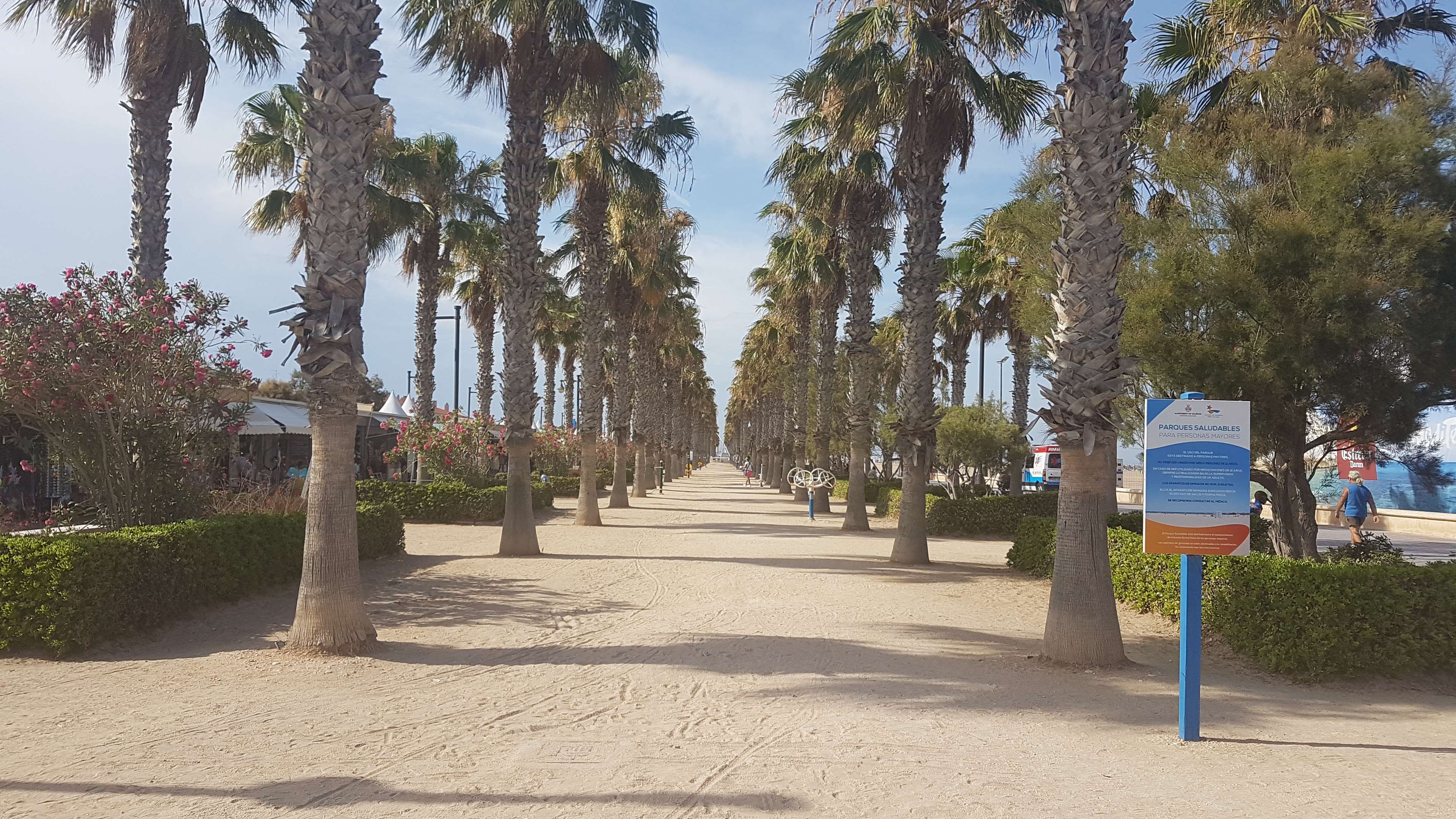 3840x2160 beach, beautiful, beauty, europe, relax, sand, sky, spain, summer, sun, sunshine, tanning, trees, valencia