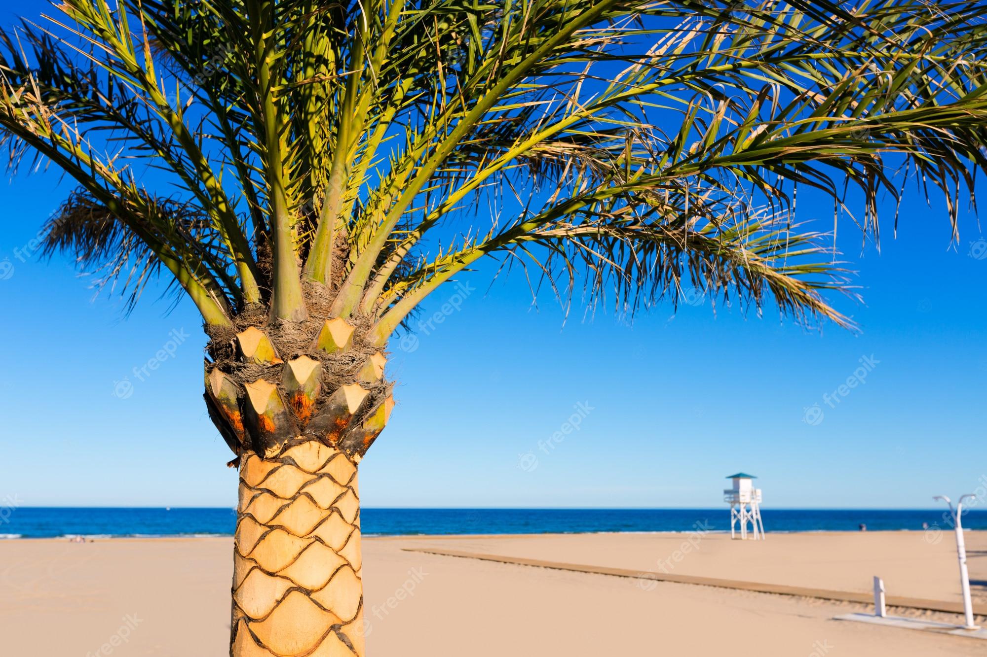 2000x1333 Premium Photo. Gandia beach in valencia at mediterranean spain