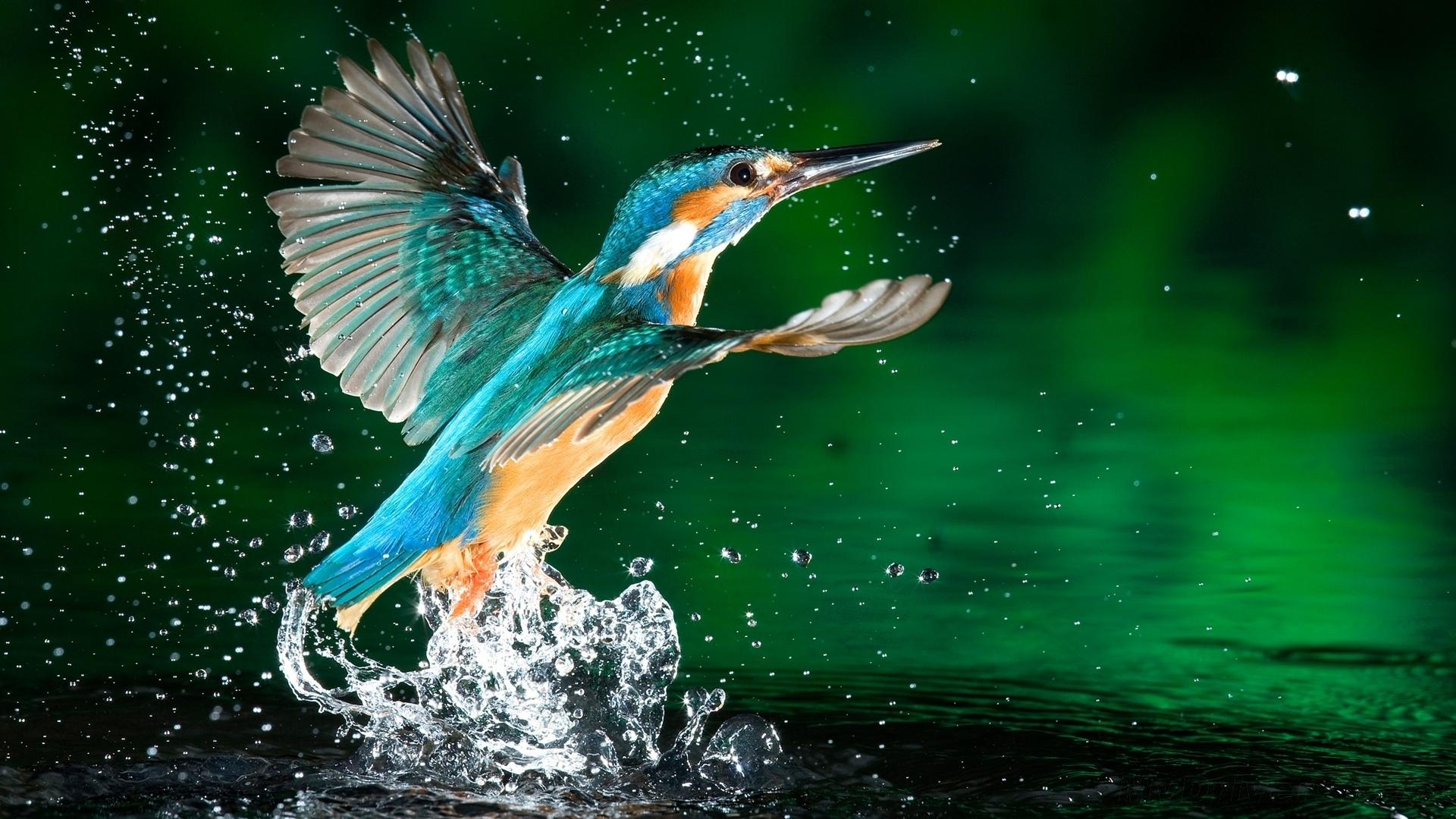 1920x1080 moment HD wallpaper, background