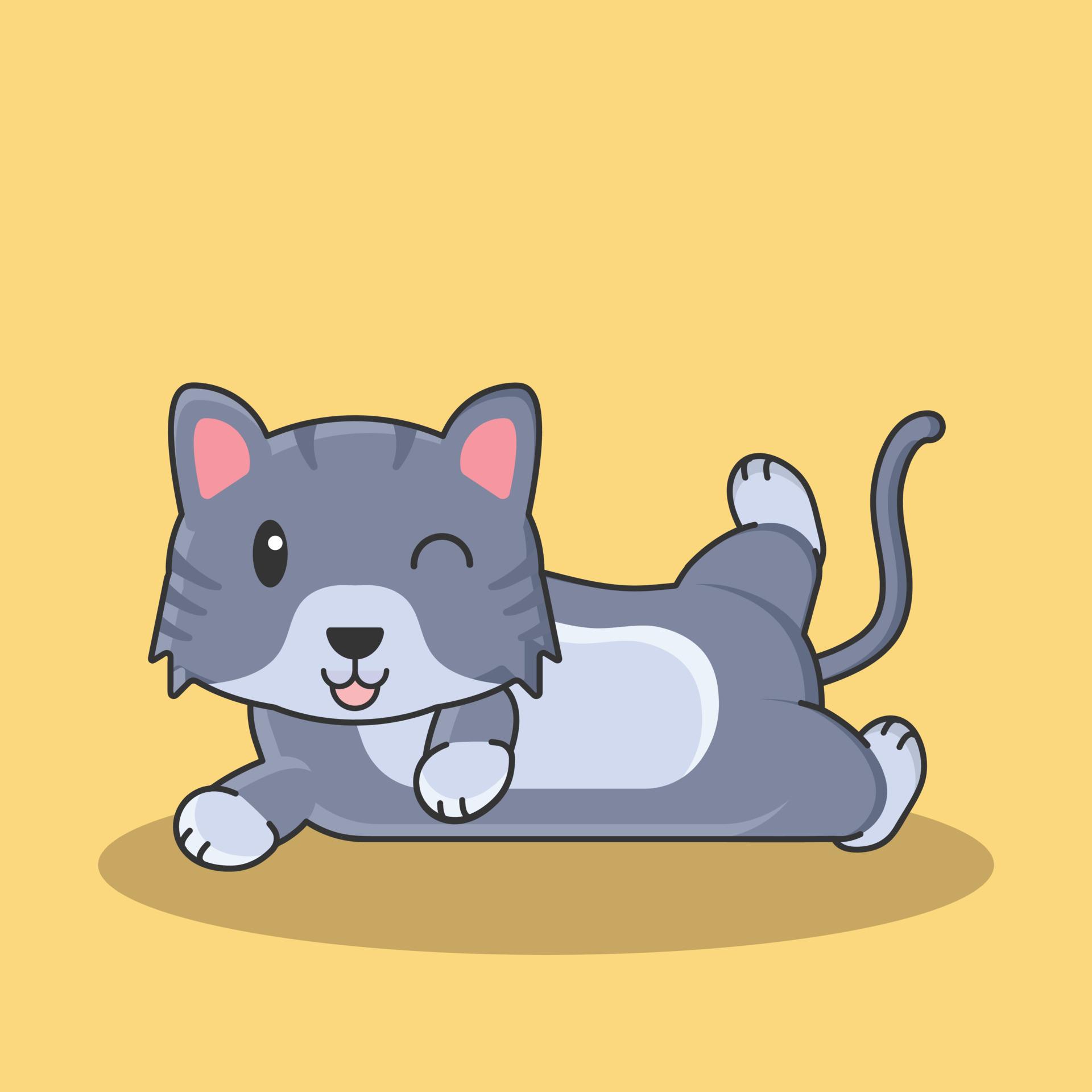 1920x1920 pet cat collection wallpaper zoo