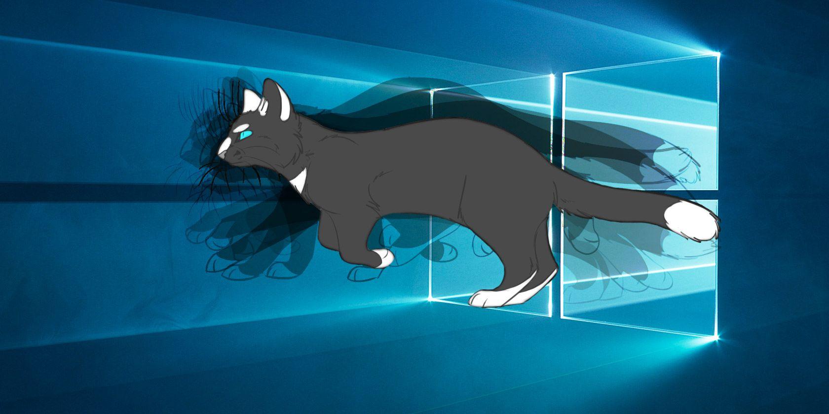 1680x840 How to Use an Animated GIF as Your Desktop Wallpaper With Rainmeter