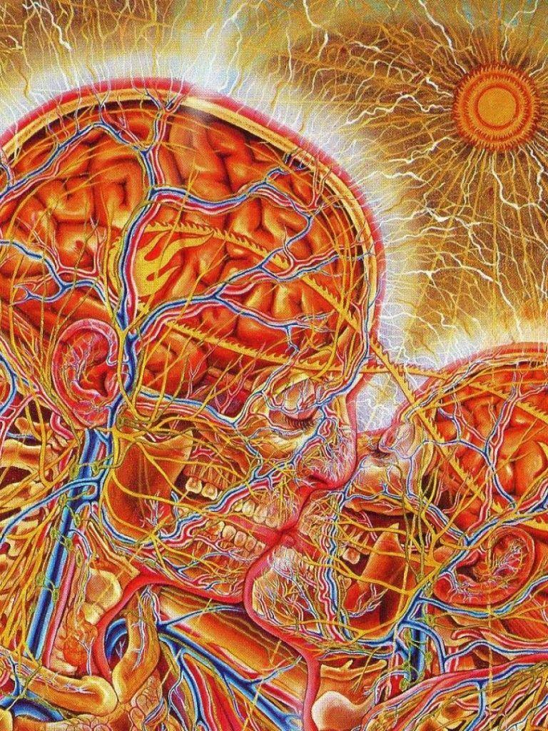 768x1024 Psychedelic Couple iPad wallpaper
