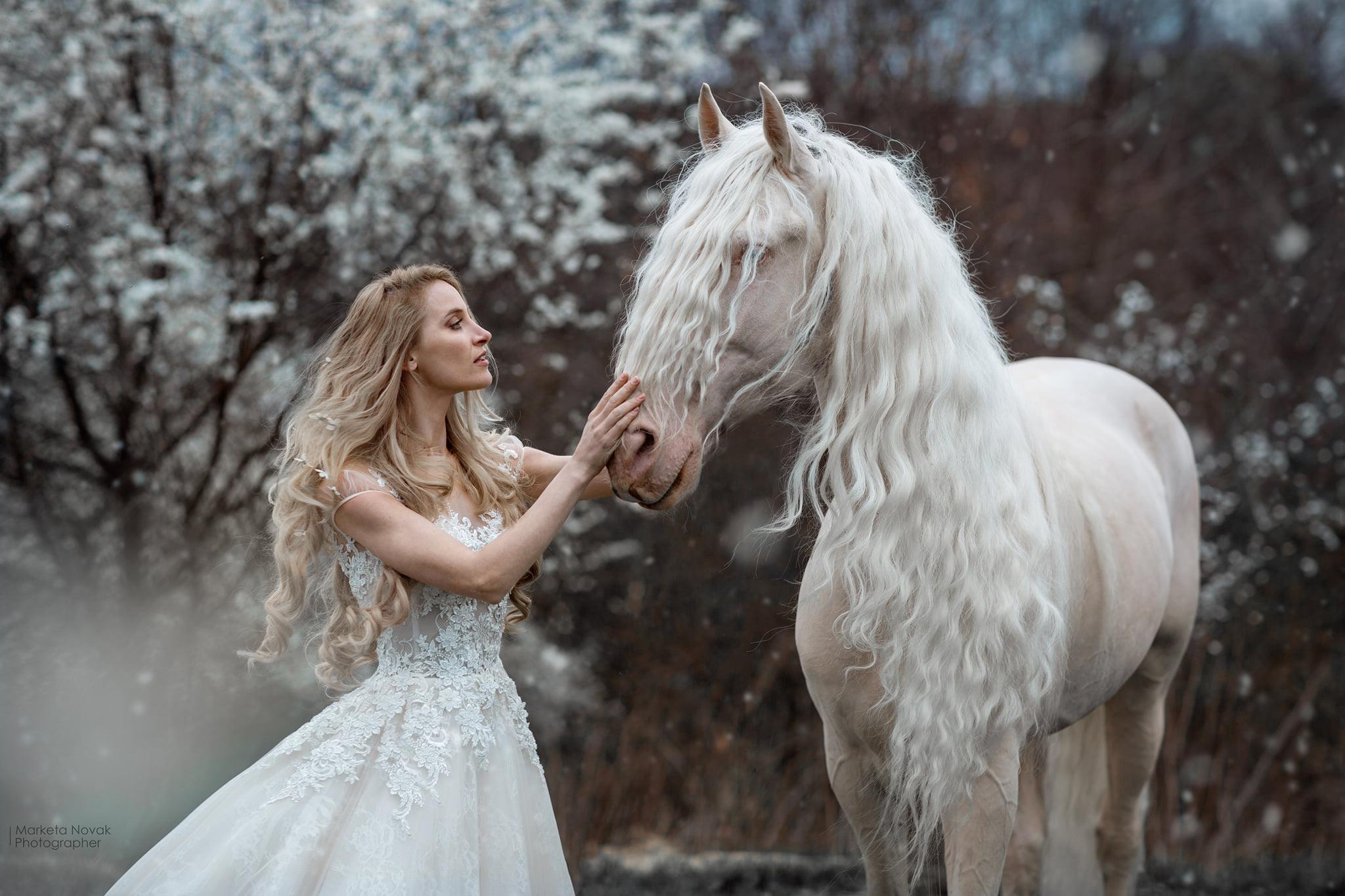 2048x1365 Women Horse Model Fantasy Girl Animals Mammals Blonde Dress Long Hair Women Outdoors Outdoors Market Wallpaper:2048x1365
