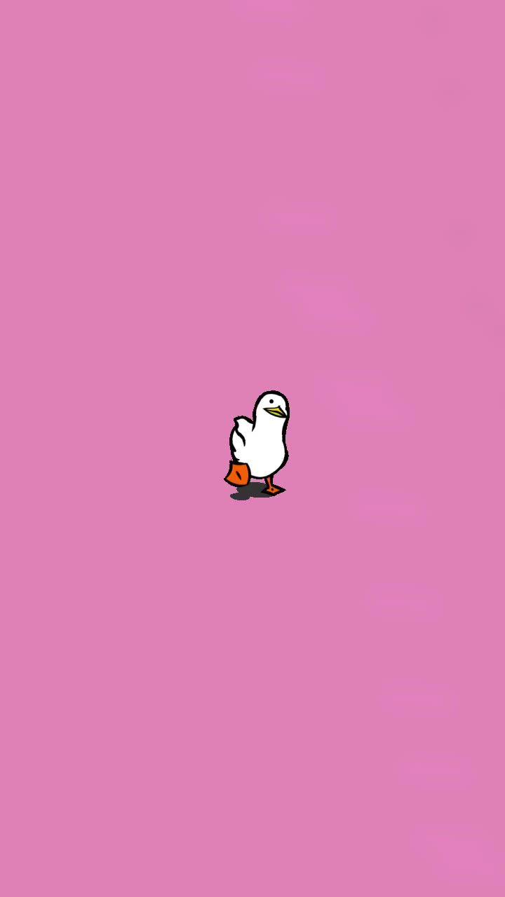 720x1280 Ducks Aesthetic Wallpaper