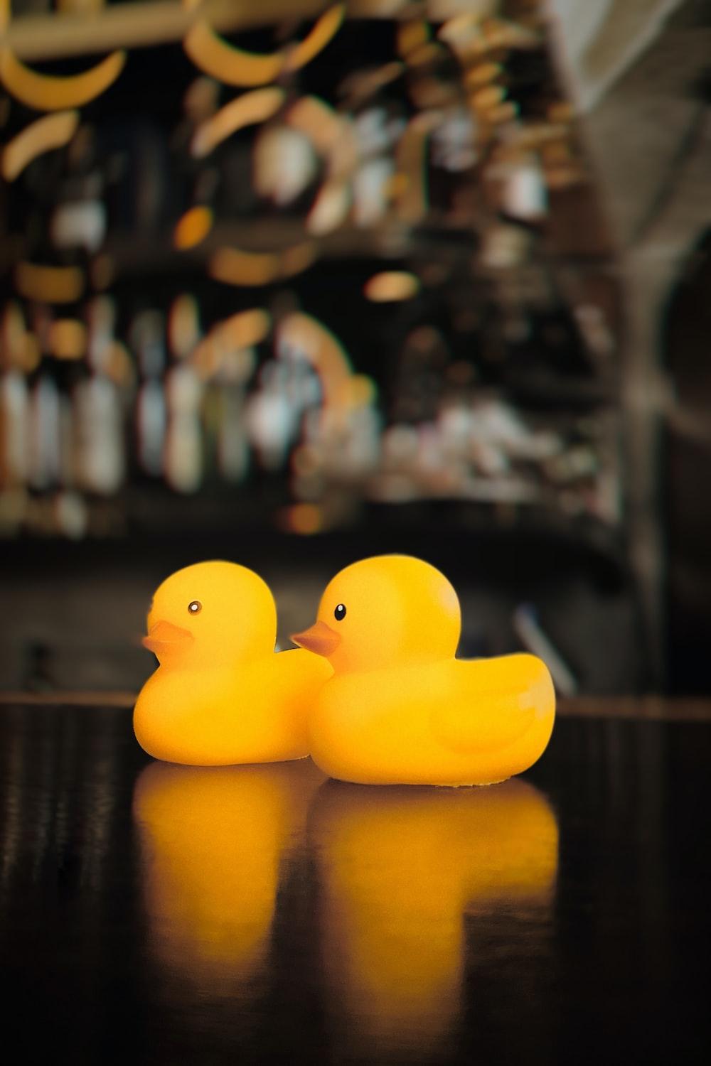 1000x1500 Rubber Duck Picture. Download Free Image