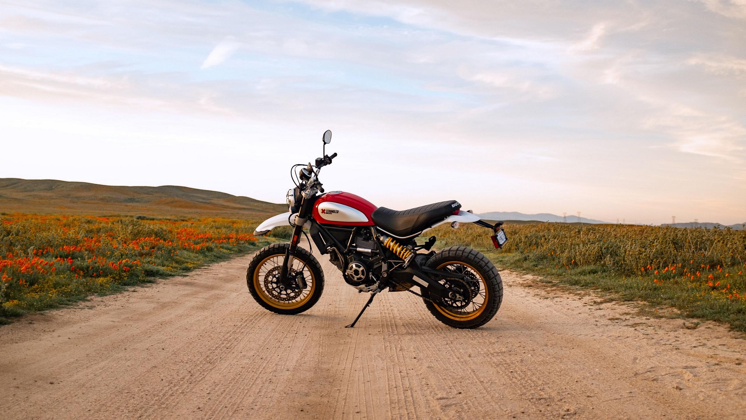 2560x1440 Wallpaper / ducati scrambler, motorcycle, bike, side view, 4k free download