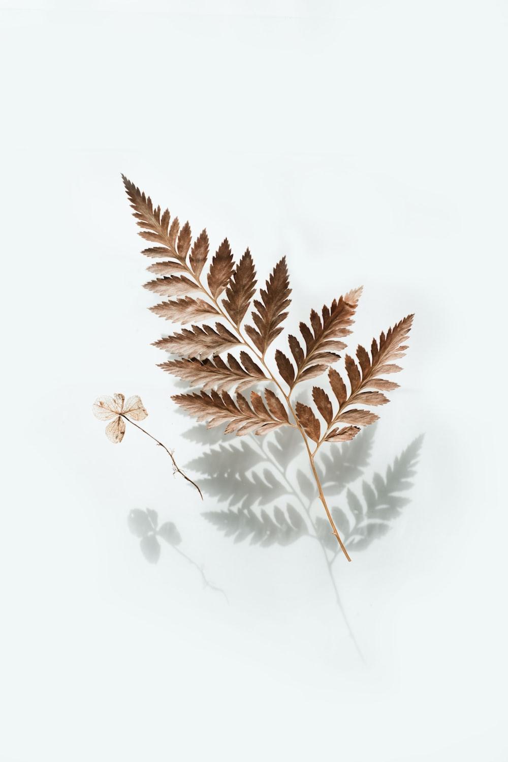 1000x1498 Tablet Wallpaper: Free HD Download [HQ]