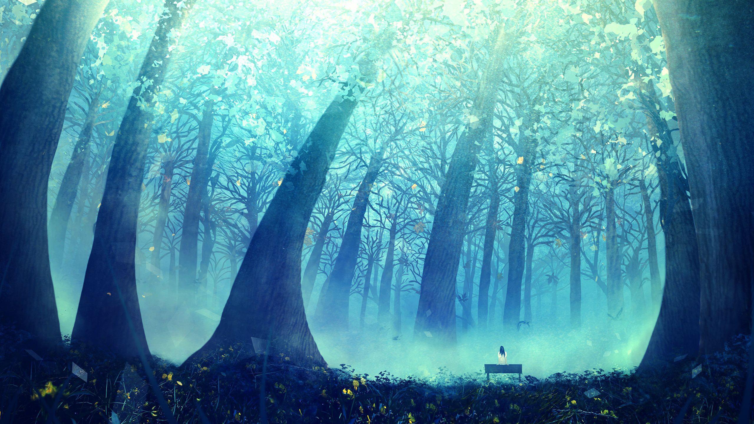 2560x1440 Wallpaper Anime, Forest, Nature, Green, Tree, Background Free Image