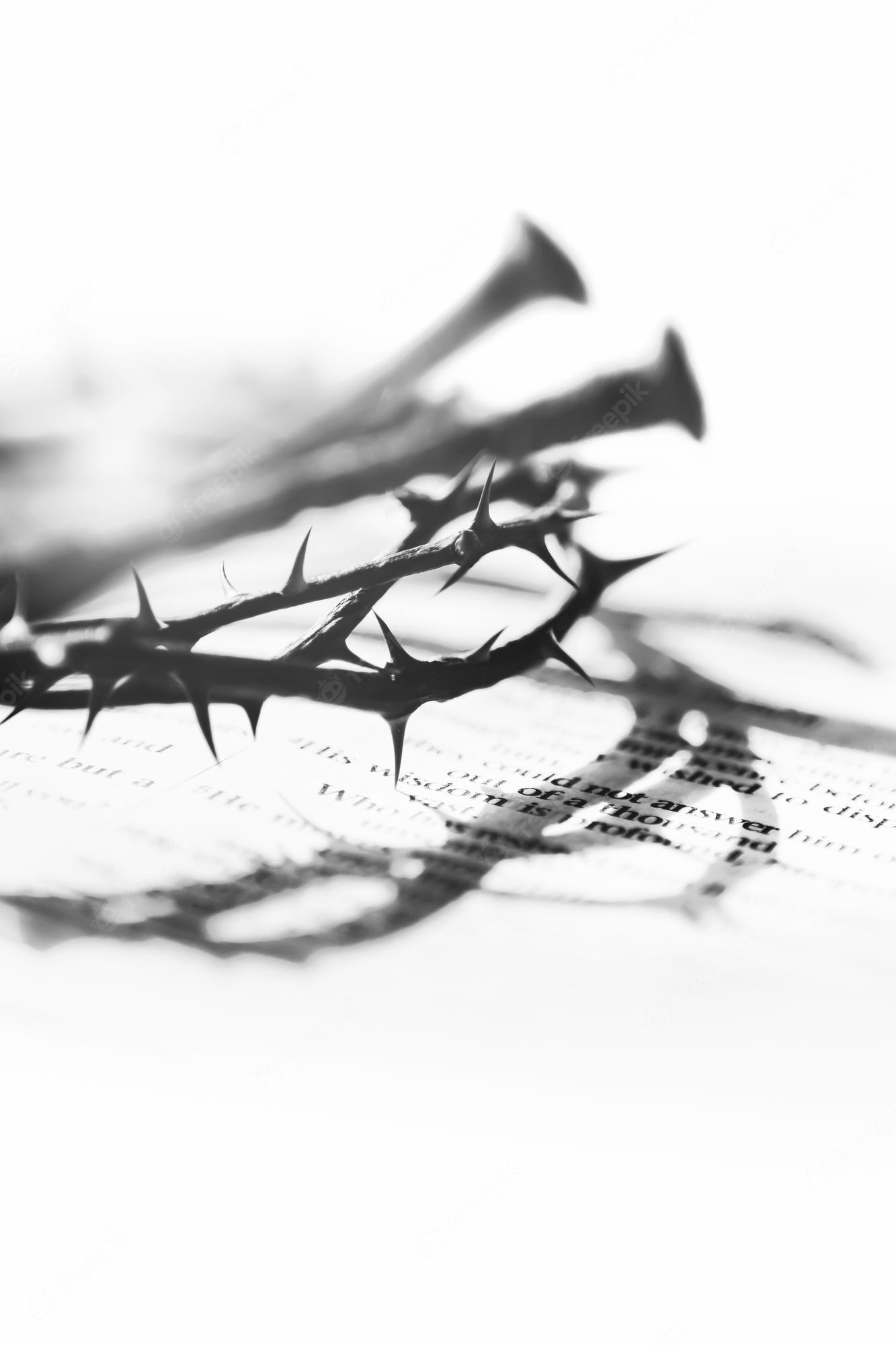 1333x2000 Premium Photo. Crown of thorns and nails symbolizing the sacrifice and suffering of jesus christ
