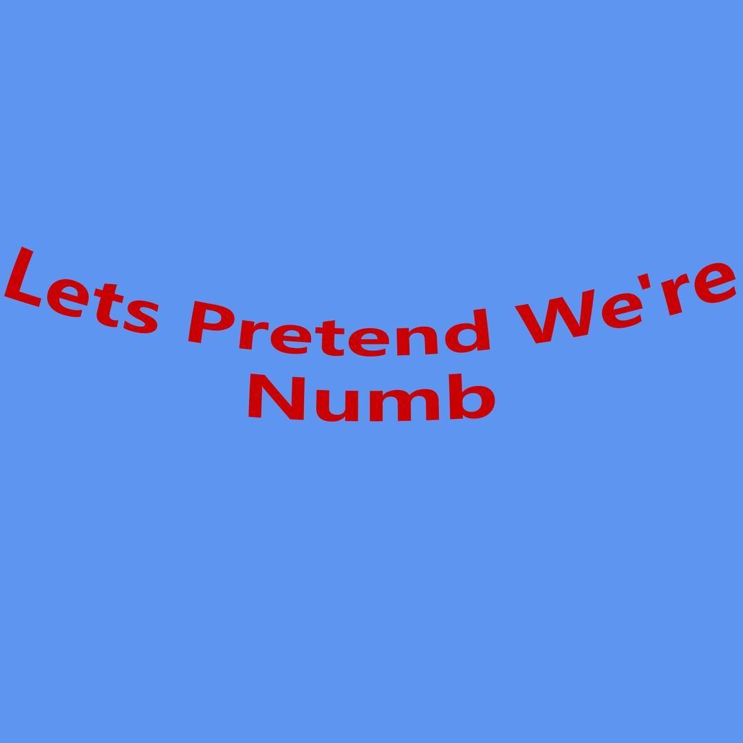 1080x1080 Lets Pretend We're Numb