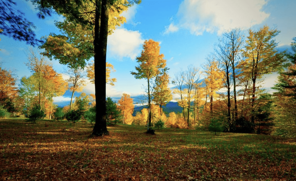 1182x724 Fall In Love With Maine & These Gorgeous Leaf Peeping Spots