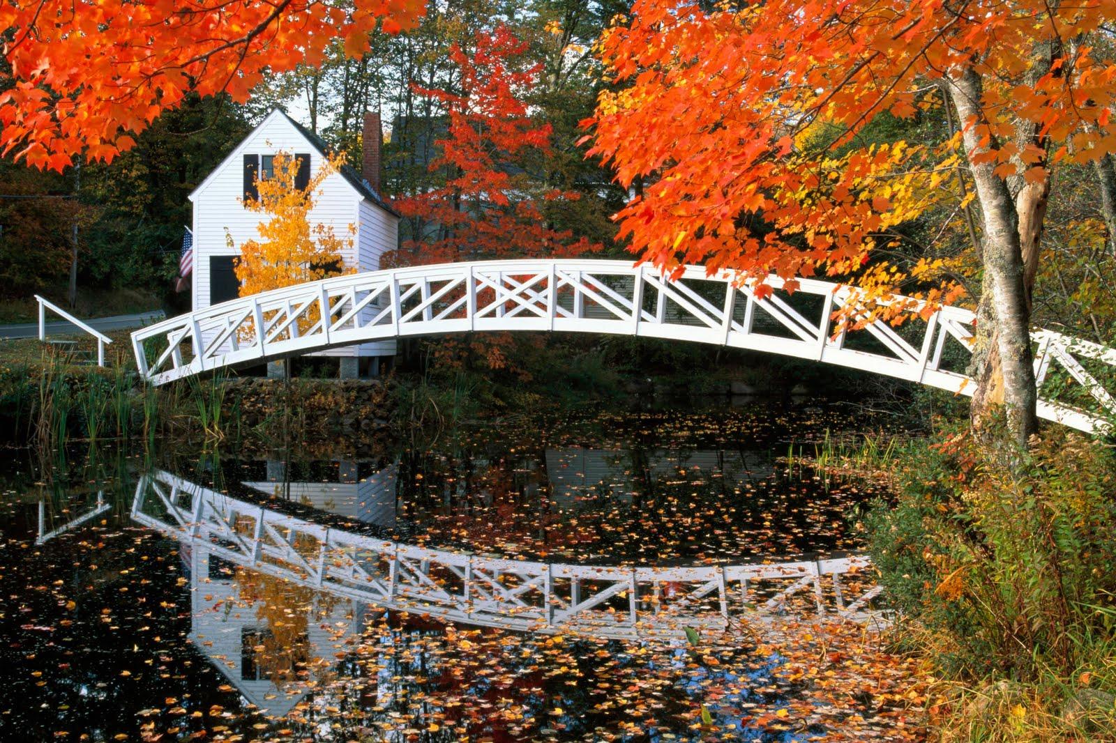 1600x1066 Maine HD Wallpaper