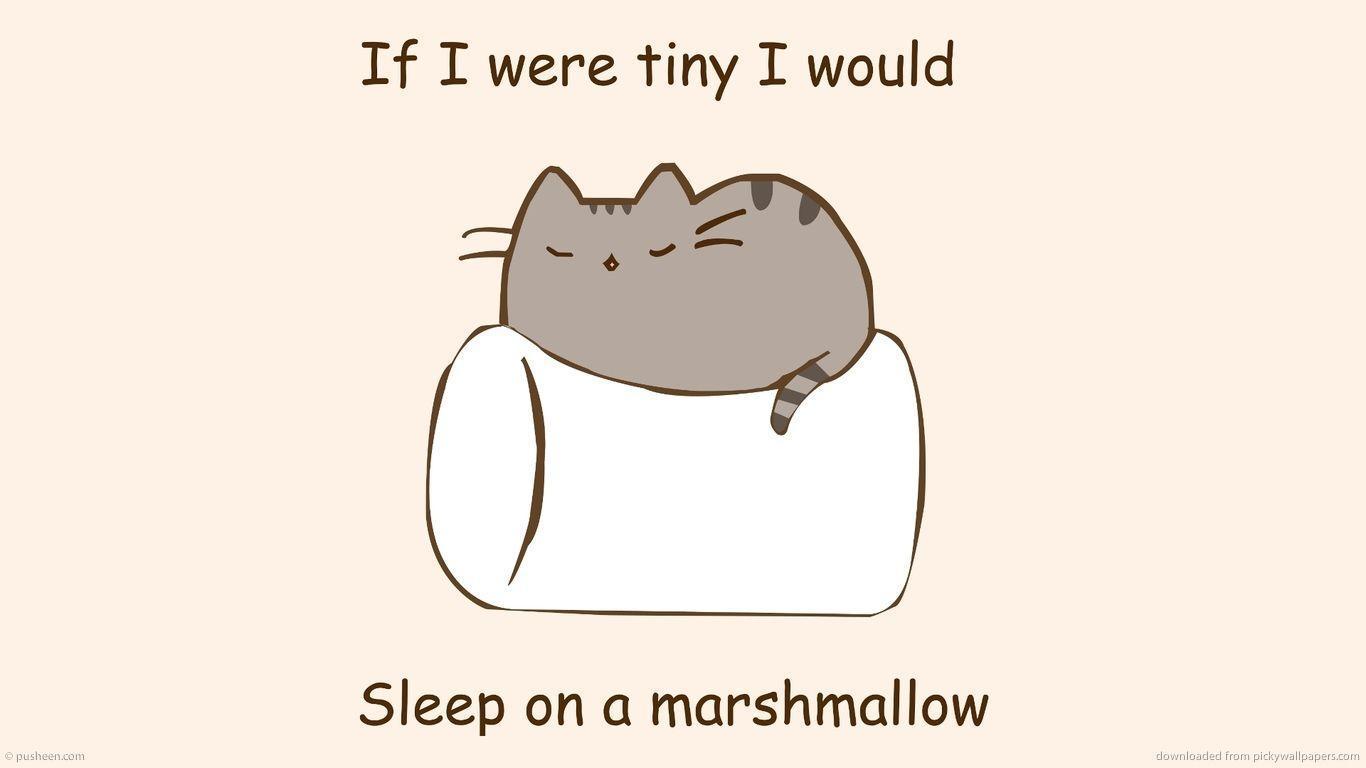 1366x768 Pusheen The Cat Wallpaper