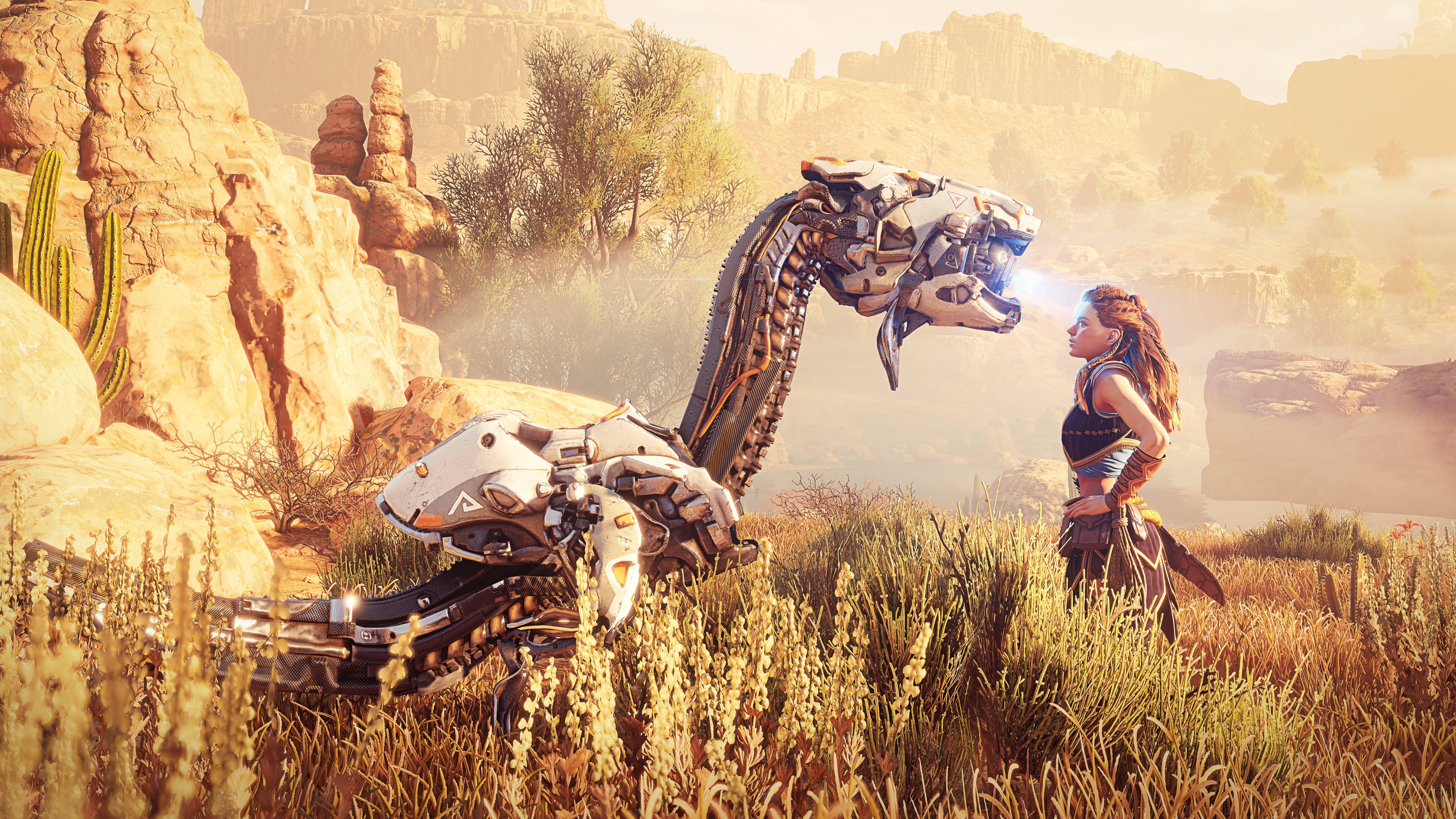 5120x2880 aloy horizon zero dawn 2021 5k MacBook Air Wallpaper Download