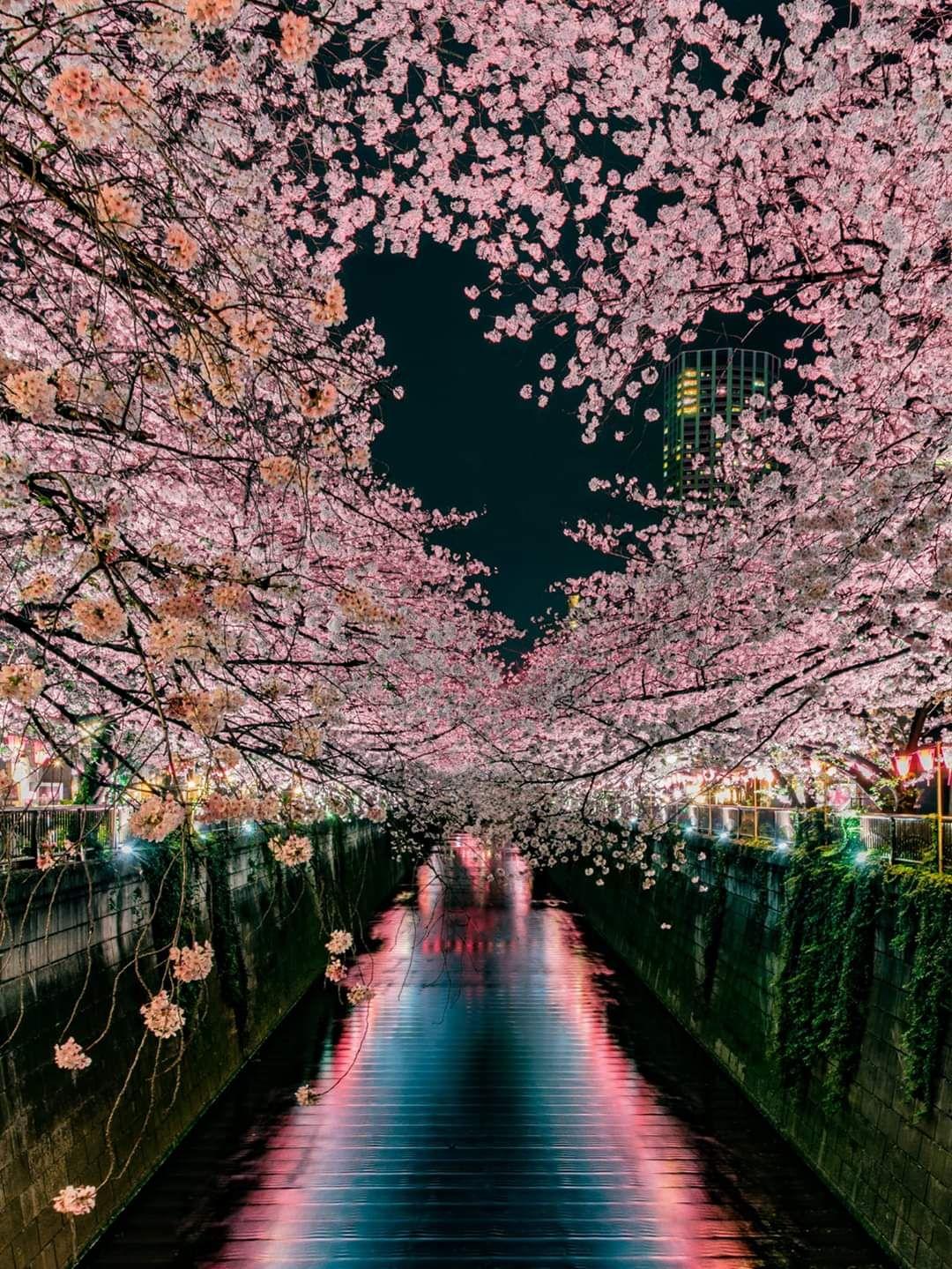 1080x1439 