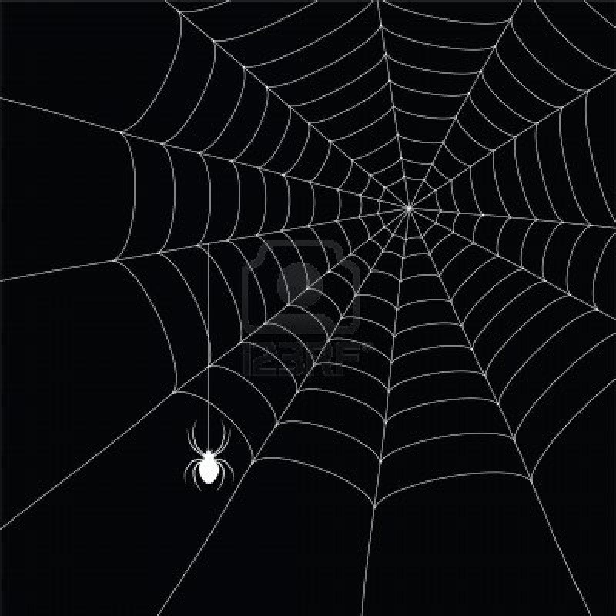 1200x1200 Free download 7985938 white spider and spider web isolated on the black background [1200x1200] for your Desktop, Mobile & Tablet. Explore Spider Web Background. Spider Web Background, Spider Web