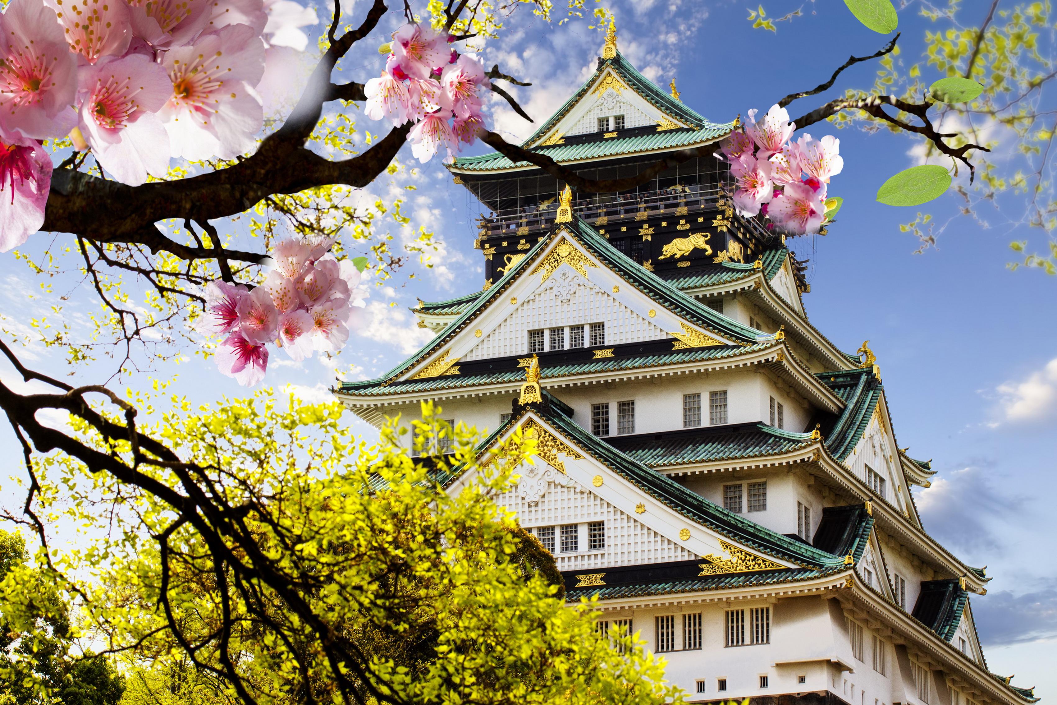 3402x2268 Free Image : tokyo, flower, nature, spring, tree, sky, branch, pink, cherry blossom, botany, woody plant, leaf, house, building, graphy, japanese architecture, petal, leisure, world, tourism 3402x2268ê Tuấn Hùng