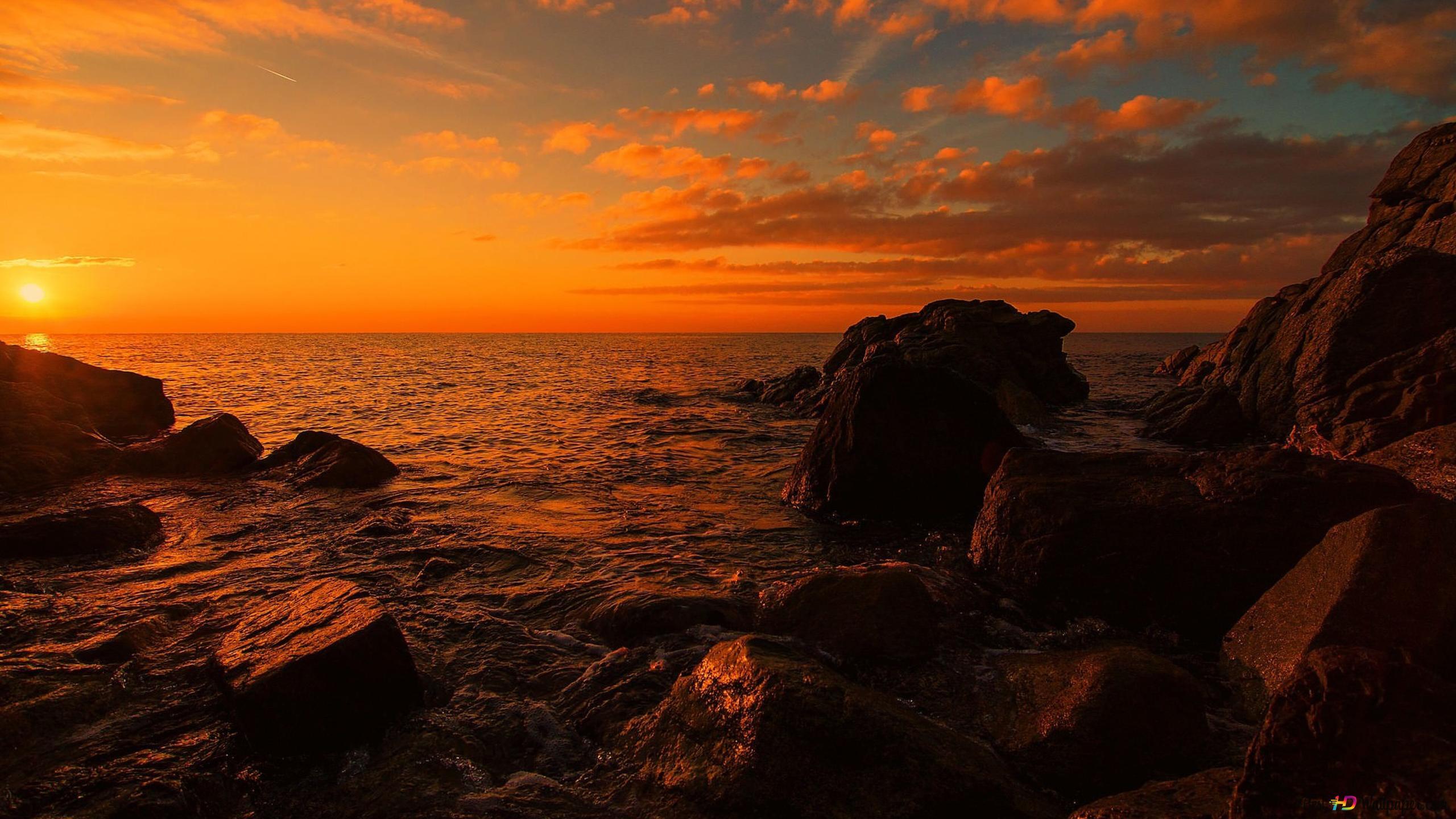 2560x1440 Beautiful orange nature 4K wallpaper download