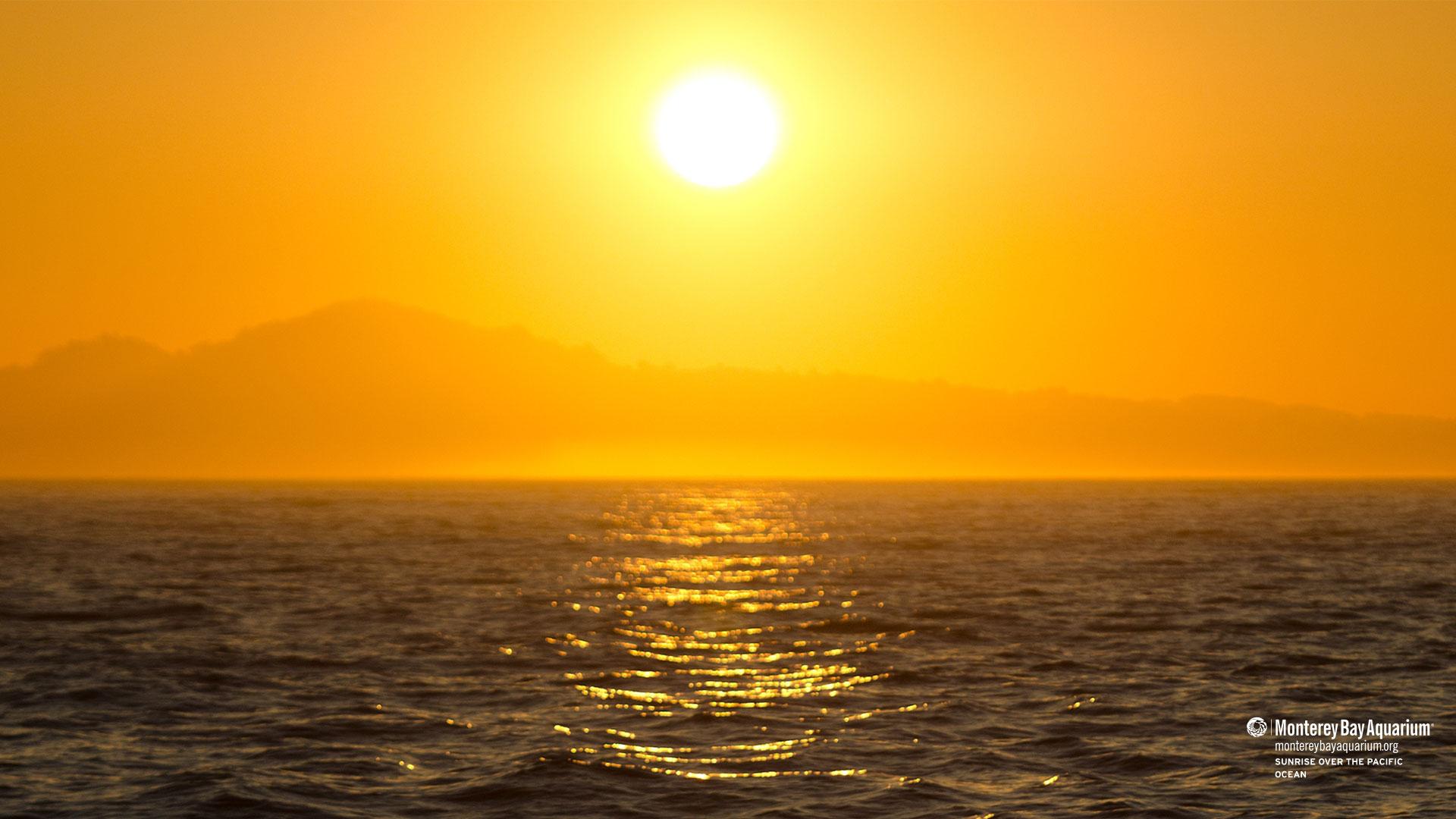 1920x1080 Sunrise over the Pacific Ocean. Wallpaper. Monterey Bay Aquarium