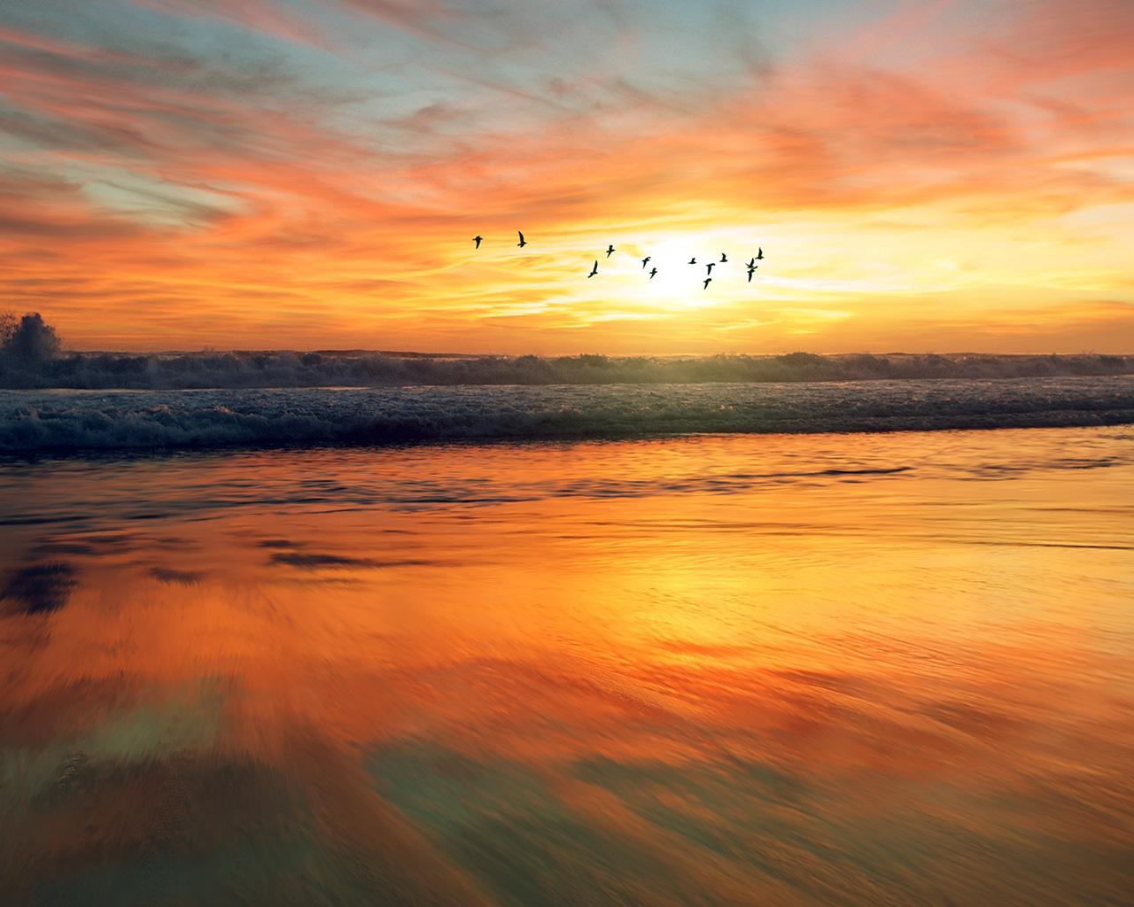 1280x1024 wallpaper for desktop, laptop. sunset sea nature orange summer sky bird animal