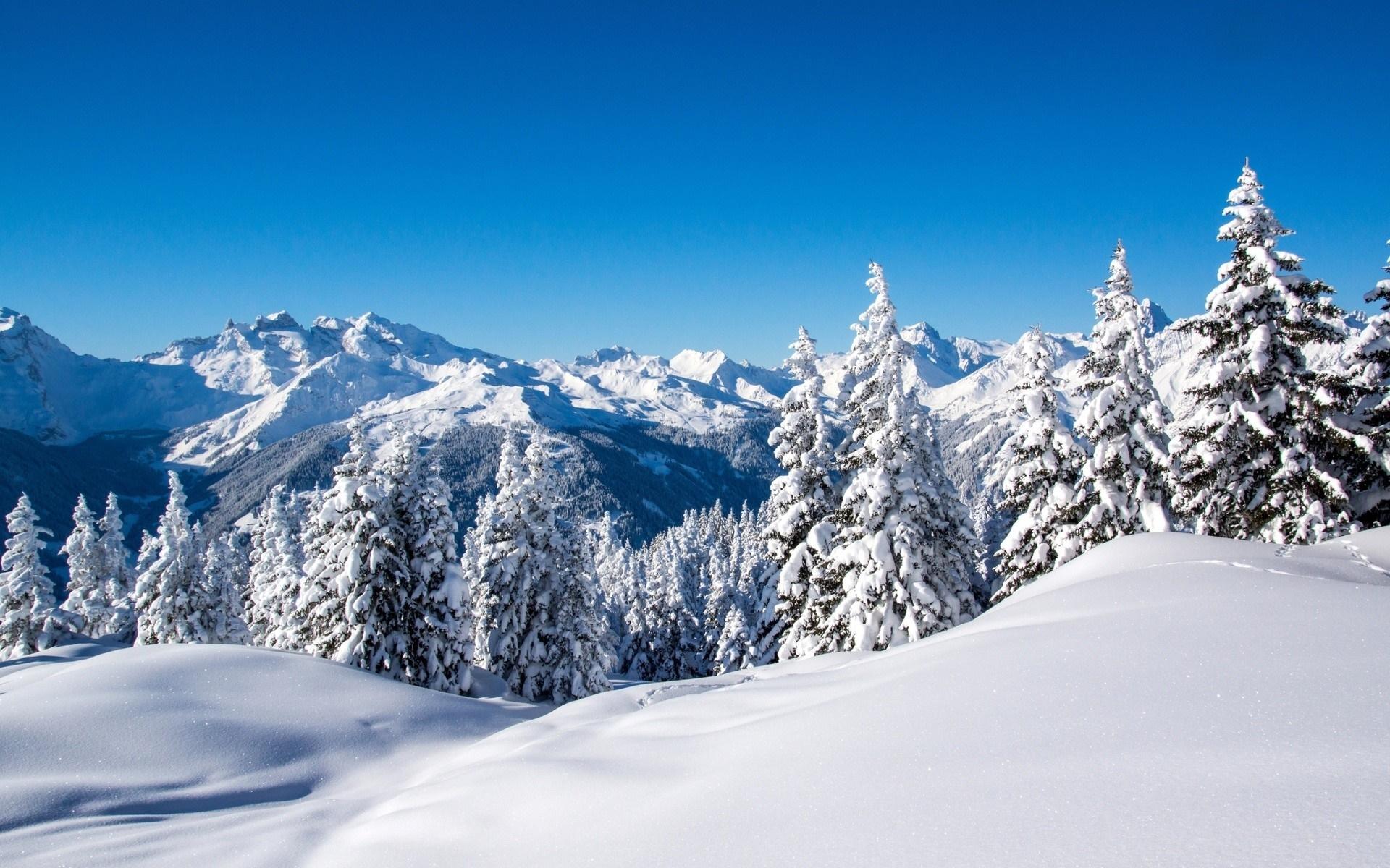 1920x1200 skiing 1080P, 2k, 4k HD wallpaper, background free download. Rare Gallery