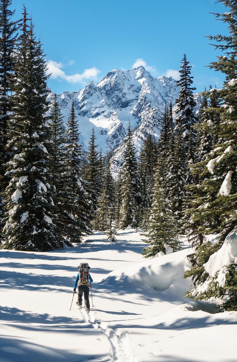 1000x1531 Ski Touring Picture. Download Free Image