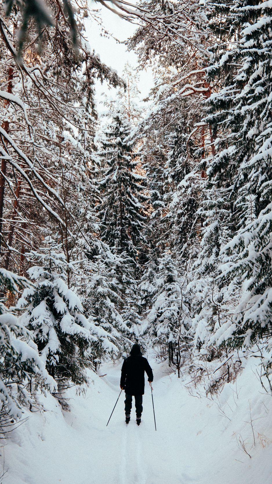 938x1668 Download Wallpaper 938x1668 Man, Skier, Skiing, Forest, Snow, Winter Iphone 8 7 6s 6 For Parallax HD Background