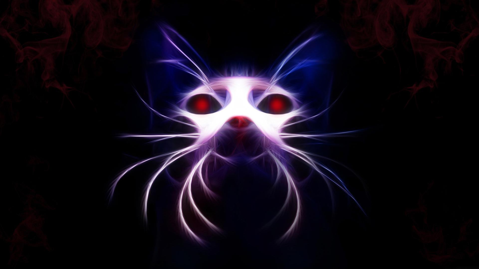 1920x1080 Cat HD Wallpaper