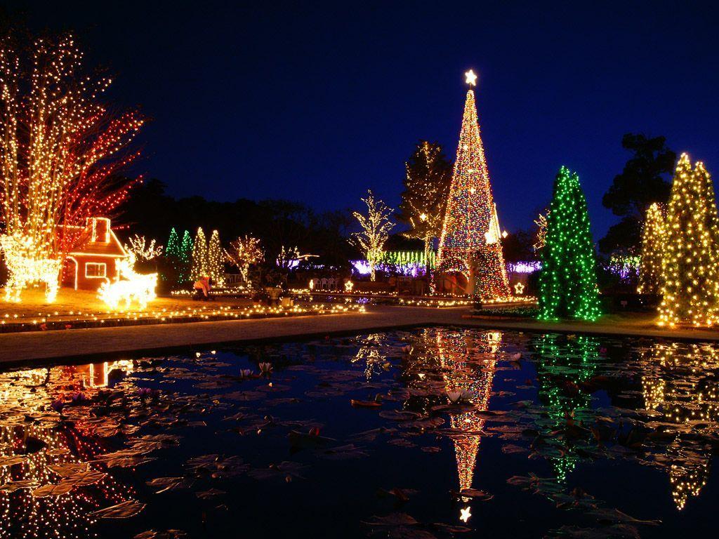 1024x768 Beautiful Christmas Desktop Wallpaper. Bright Christmas tree