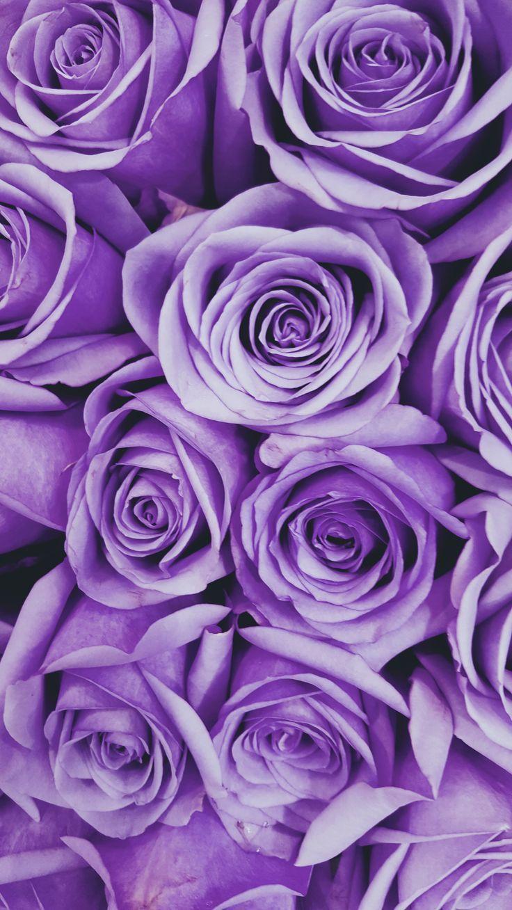 736x1308 Purple Color Inspiration Trend Council. Purple flowers wallpaper, Purple wallpaper iphone, Purple aesthetic