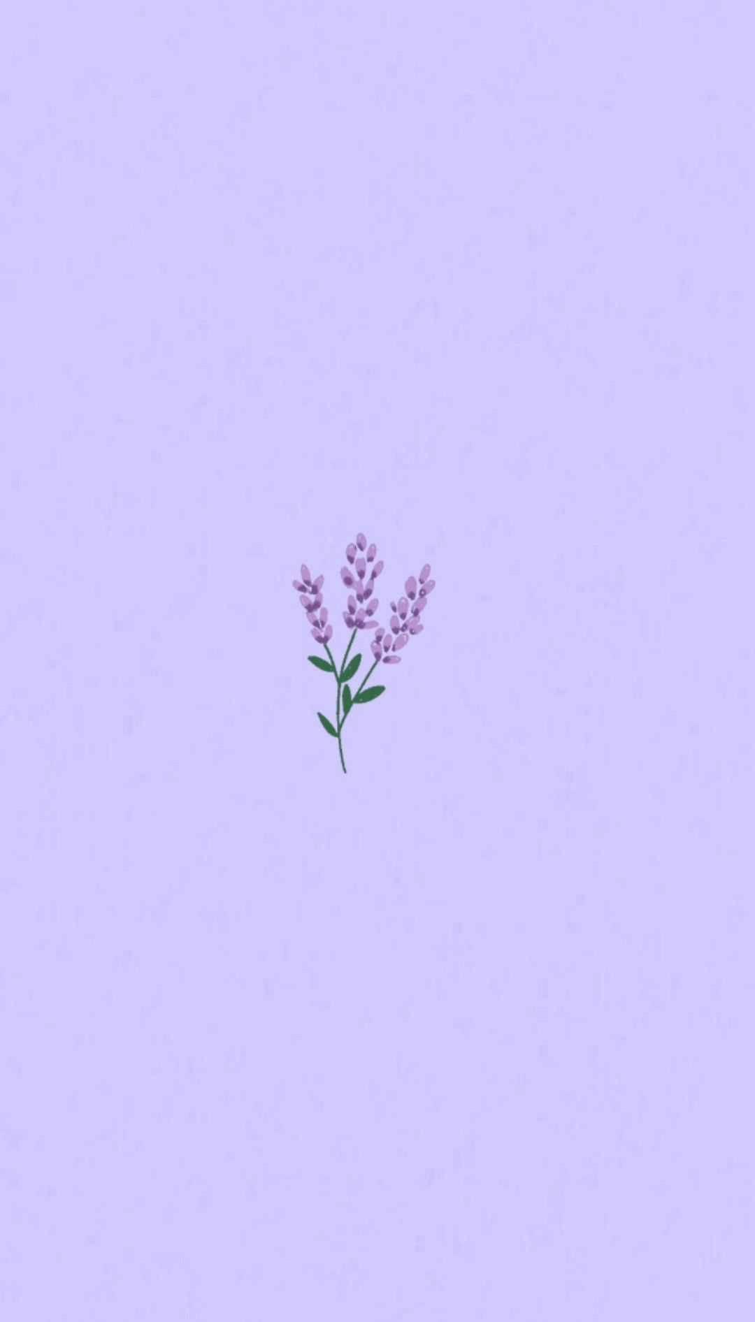 Pastel Purple Flower Wallpapers Top Free Pastel Purple Flower Backgrounds Wallpaperaccess