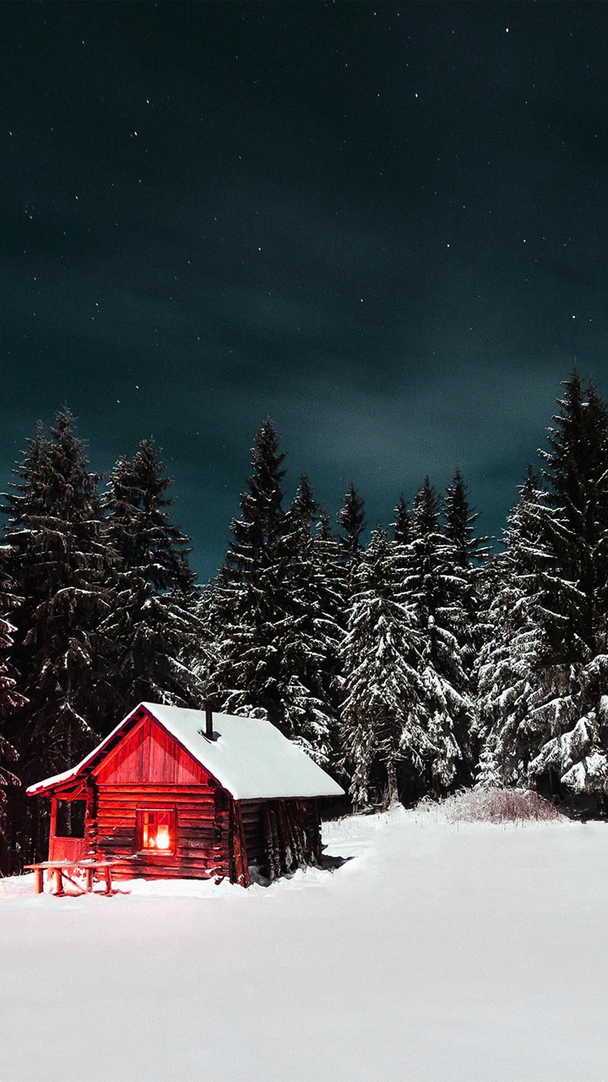 1242x2208 iPhone X wallpaper. winter house night sky christmas starry