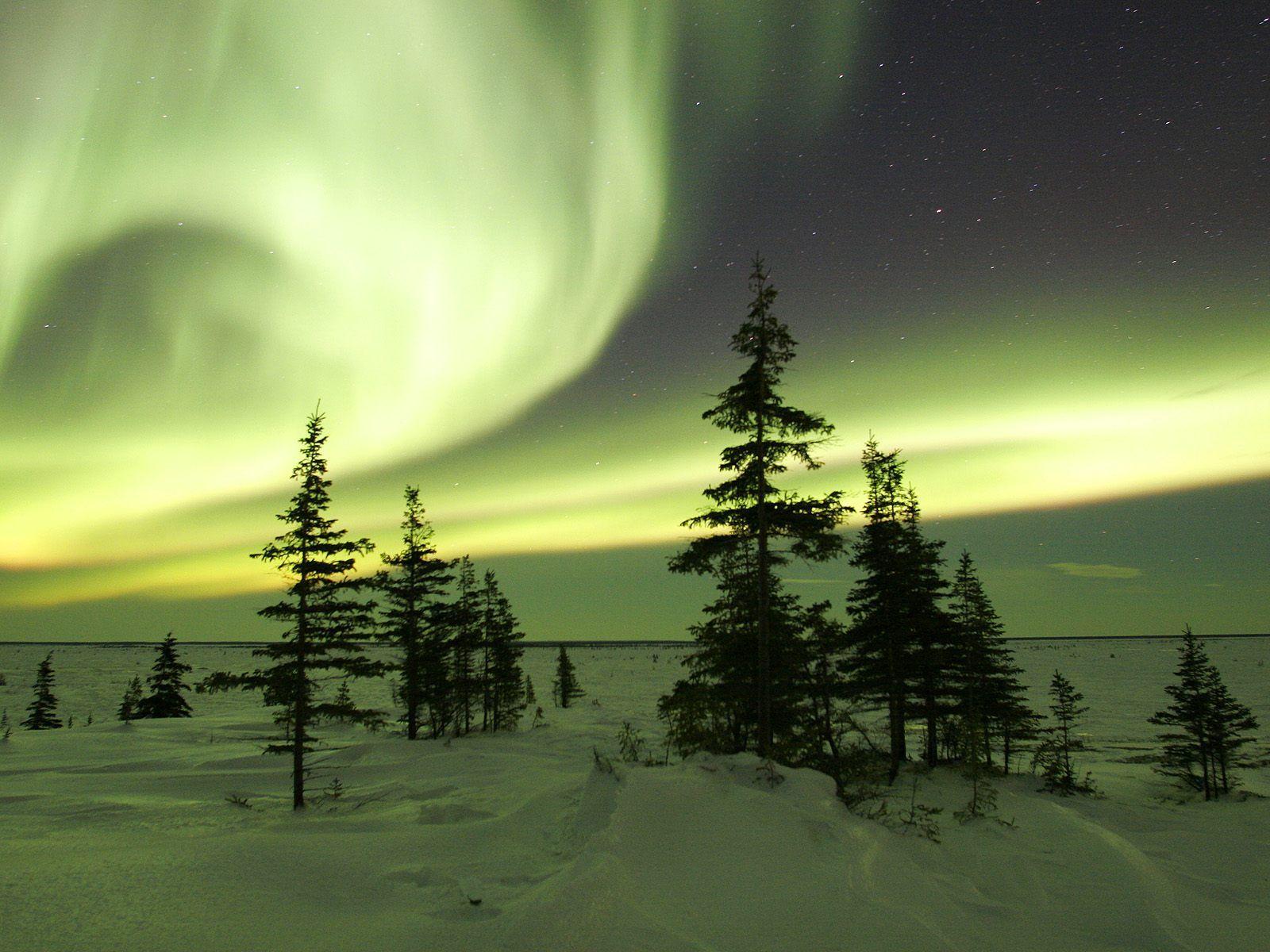 1600x1200 Summer Northern Lights Wallpaper