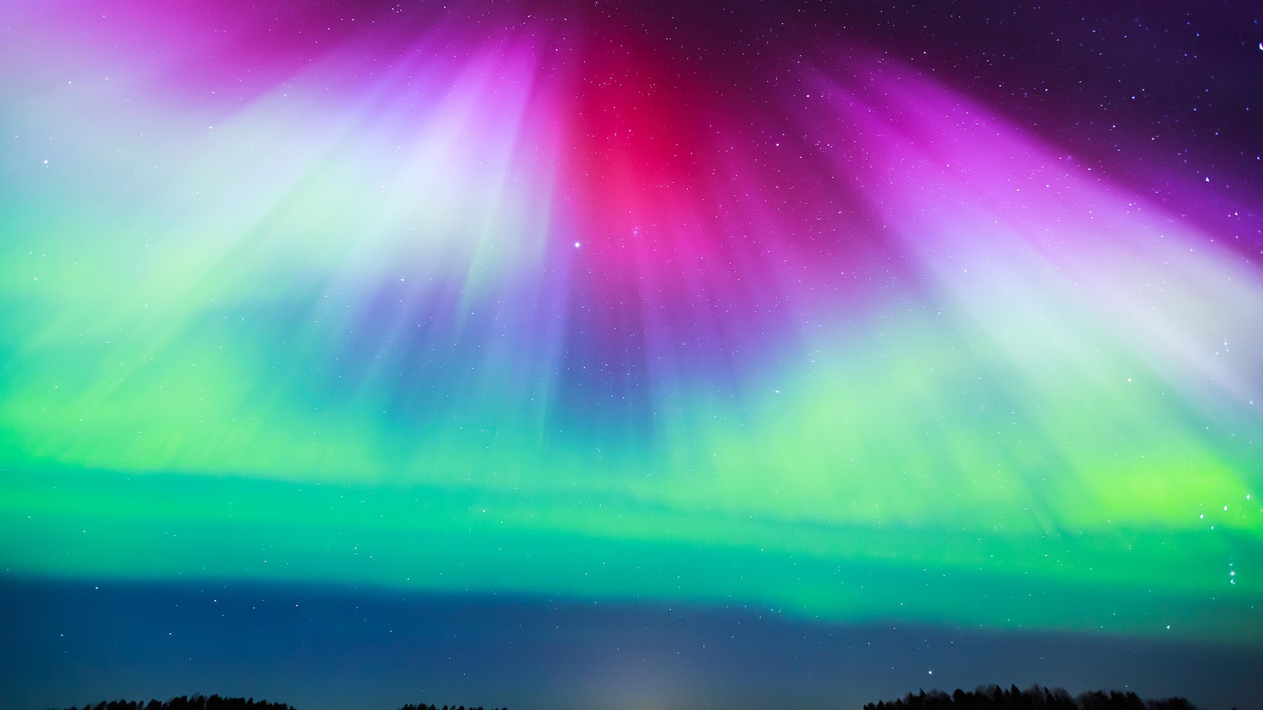 2560x1440 Aurora Borealis Nature 4k 1440P Resolution HD 4k Wallpaper, Image, Background, Photo and Picture