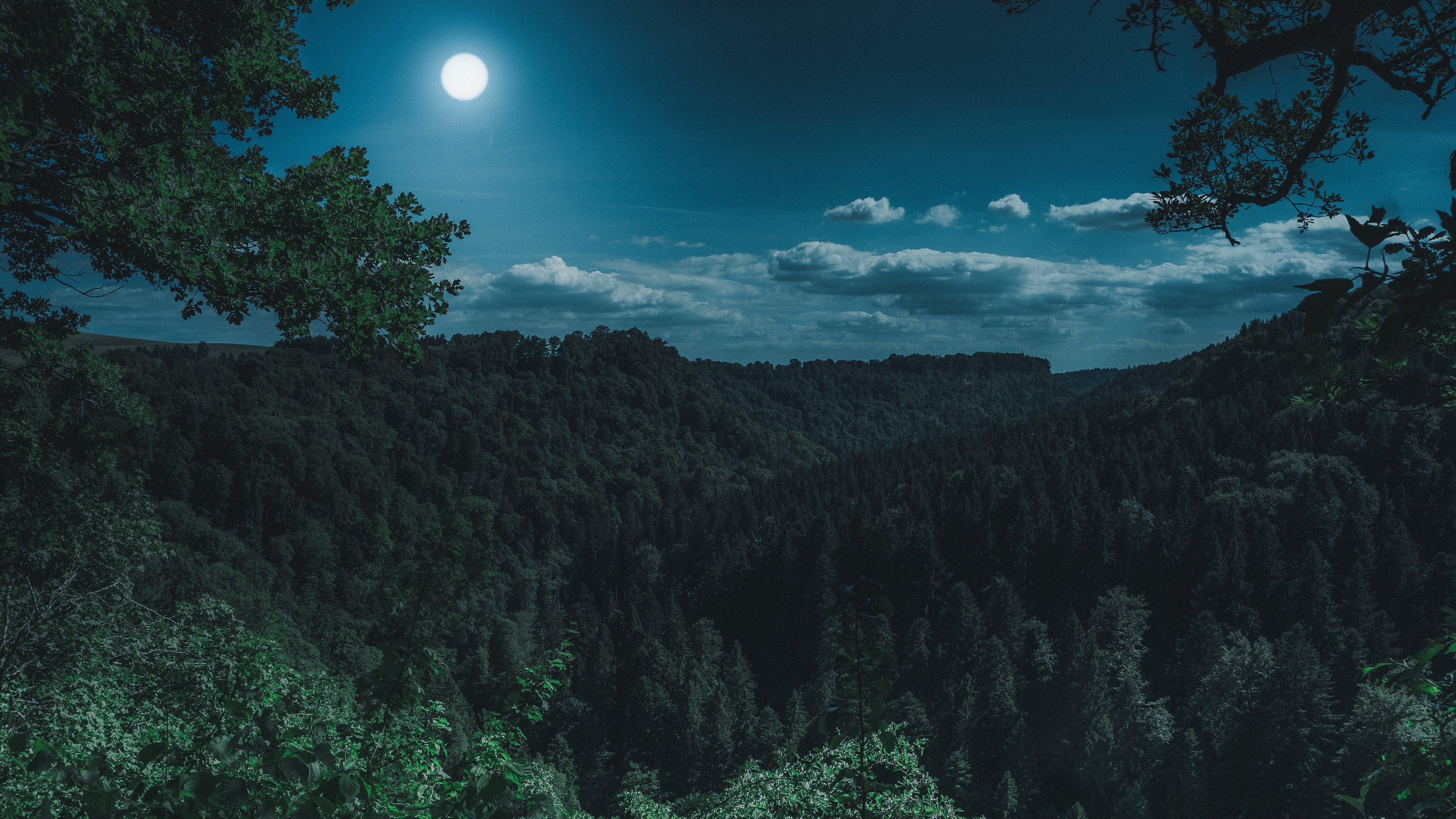 5120x2880 dark night forest view 5k iMac Wallpaper Download