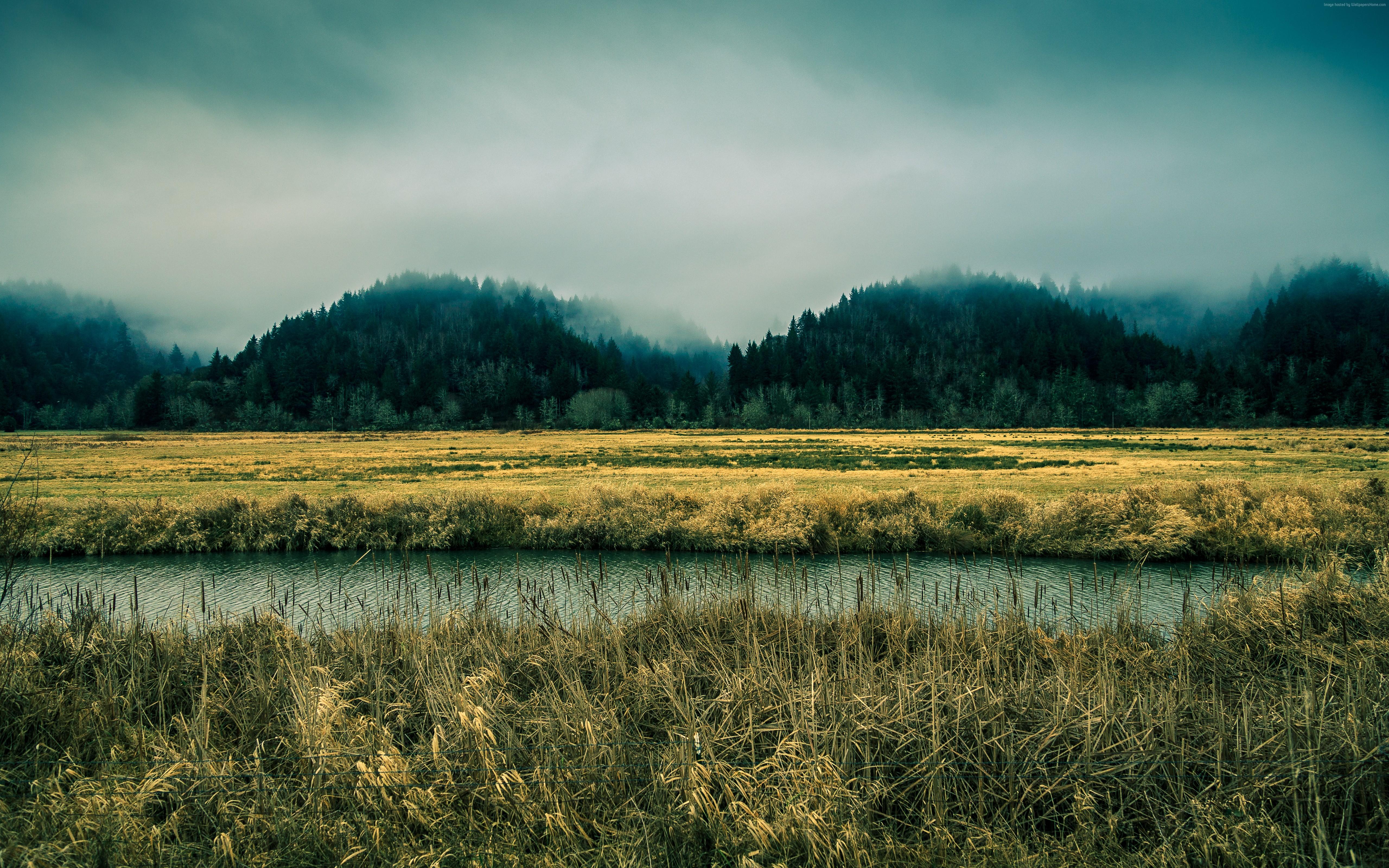 5120x3200 pines, 4k, forest, sky, river, 8k, Oregon, 5k, fog Gallery HD Wallpaper