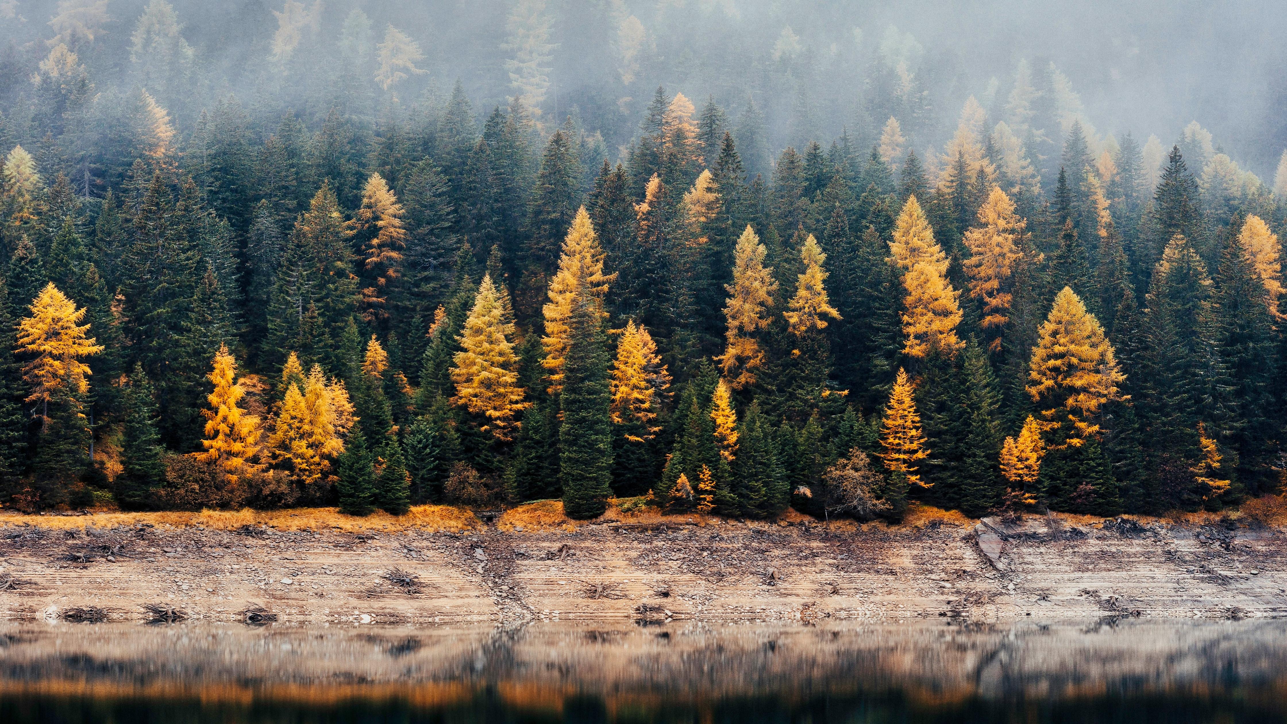 4480x2520 Forest Wallpaper 4K, Woods, Autumn, Lake, Nature