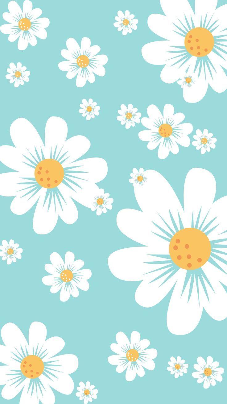 736x1308 Pastel teal colour wallpaper. Flower wallpaper. Daisy wallpaper en 2022. Fondos de pantalla de ip. Cute wallpaper background, Daisy wallpaper, Cute wallpaper