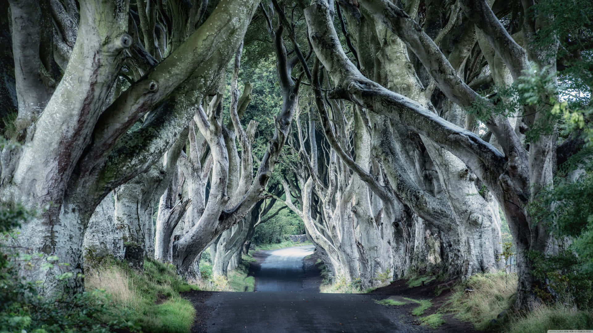 1920x1080 Free Ireland Wallpaper Downloads, Ireland Wallpaper for FREE