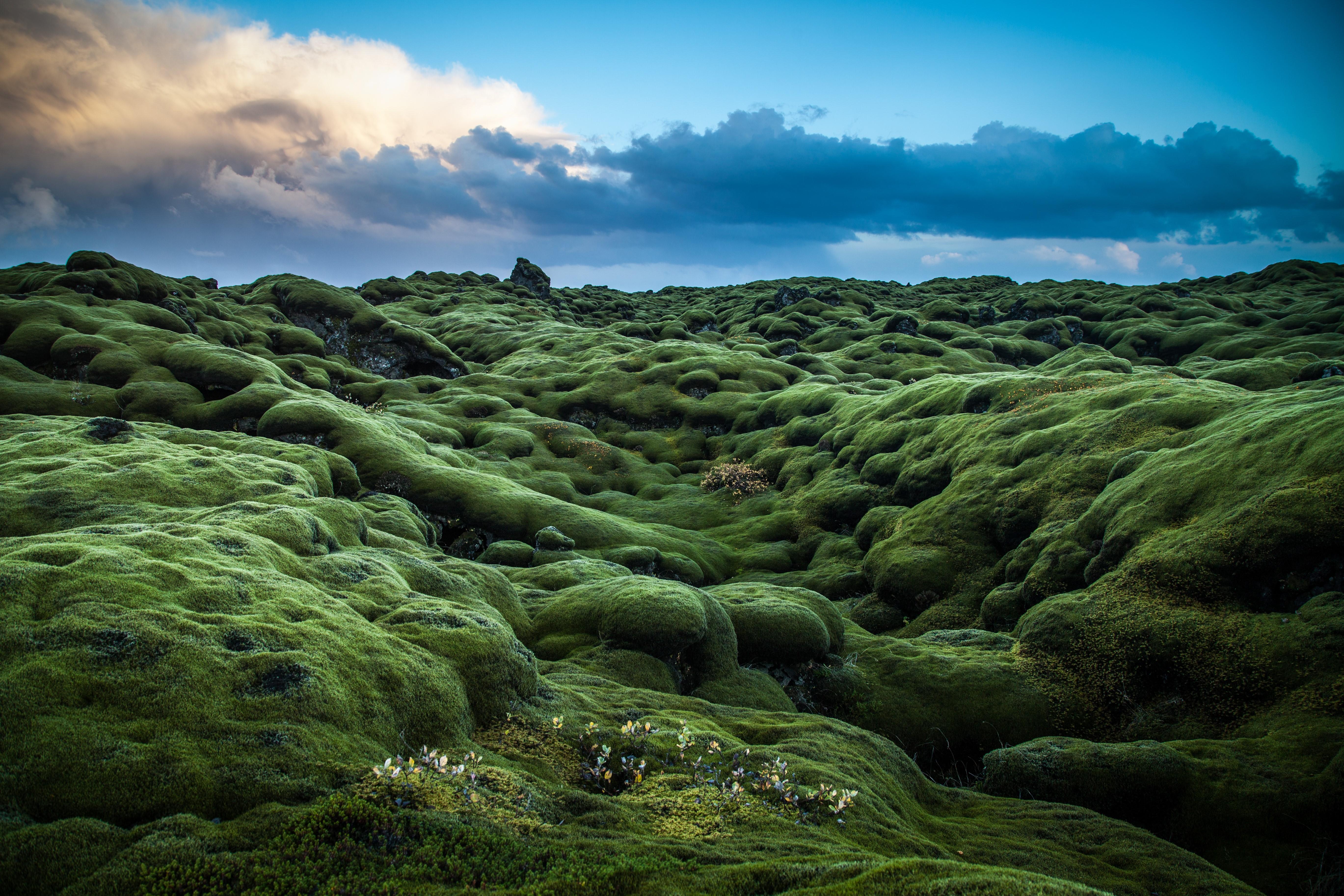 5476x3651 4K, 5K, Ireland, Moss, Clouds Gallery HD Wallpaper