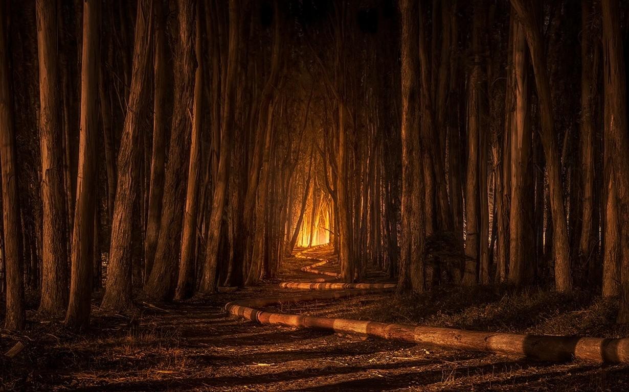 1230x768 Spooky Autumn Wallpaper
