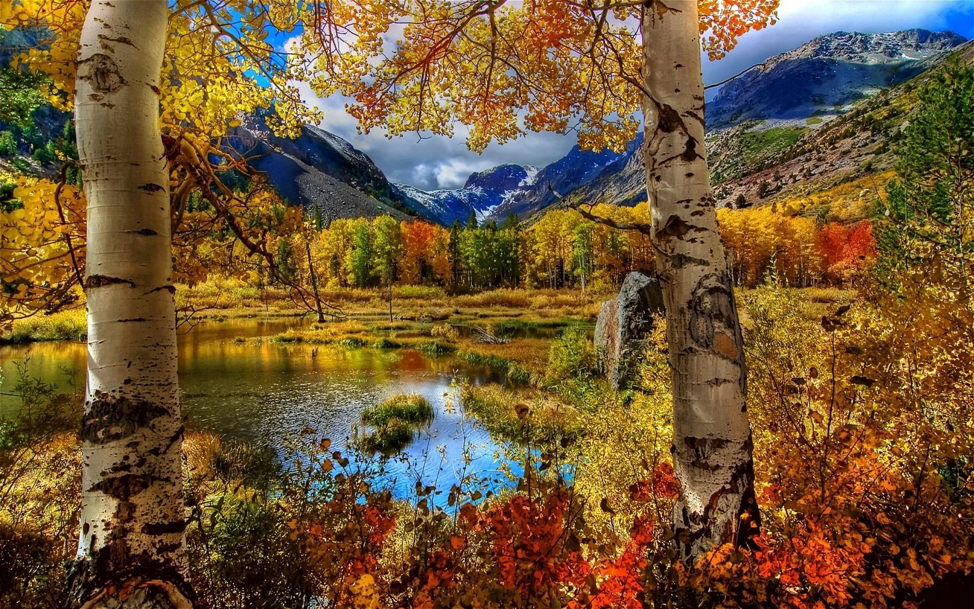 1920x1200 HD Fall Mountain