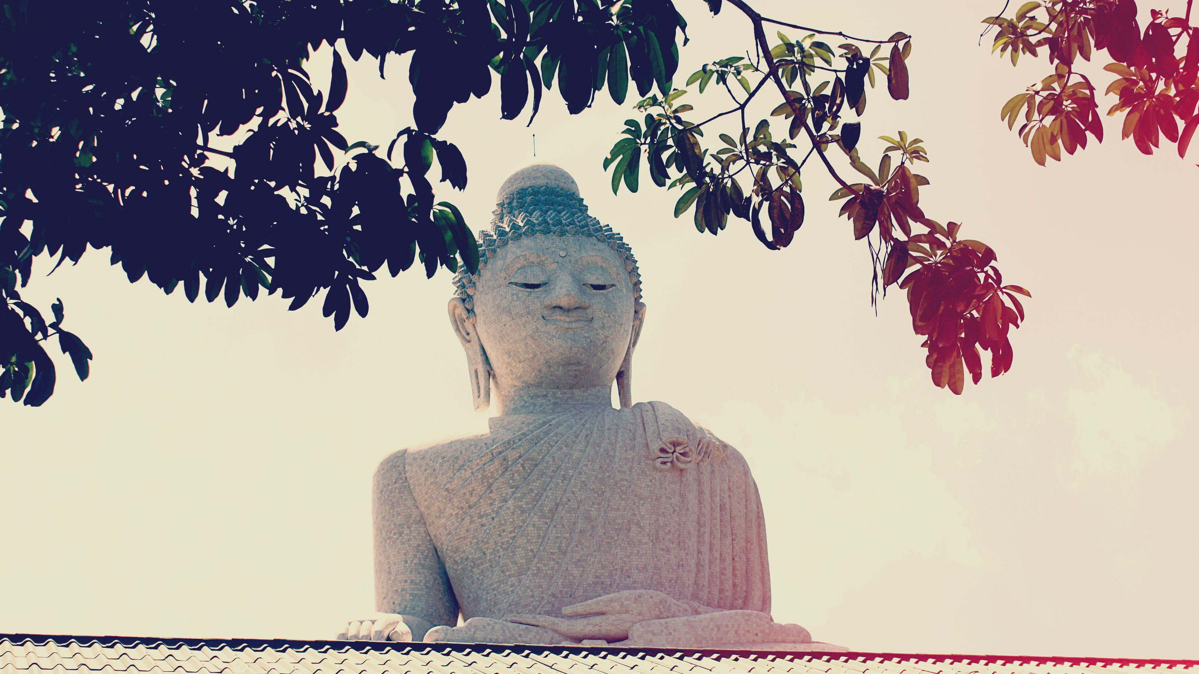 3840x2160 Free Big Buddha Chromebook Wallpaper Ready For Download