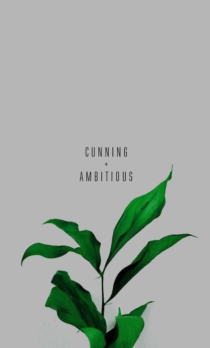 Aesthetic Green Quotes Wallpapers Top Free Aesthetic Green Quotes