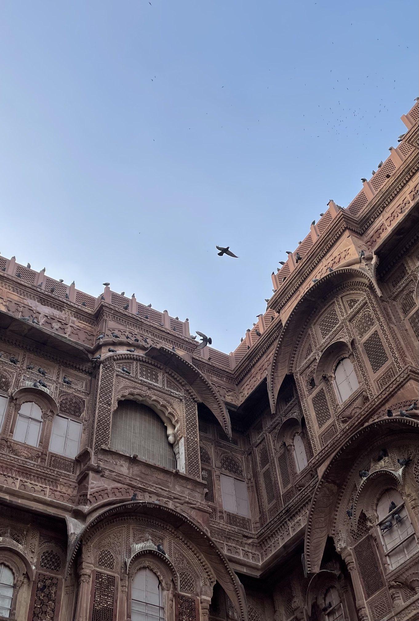 1362x2016 Saumya jaw dropping Mehrangarh Fort, Jodhpur. Perfect wallpaper photo!