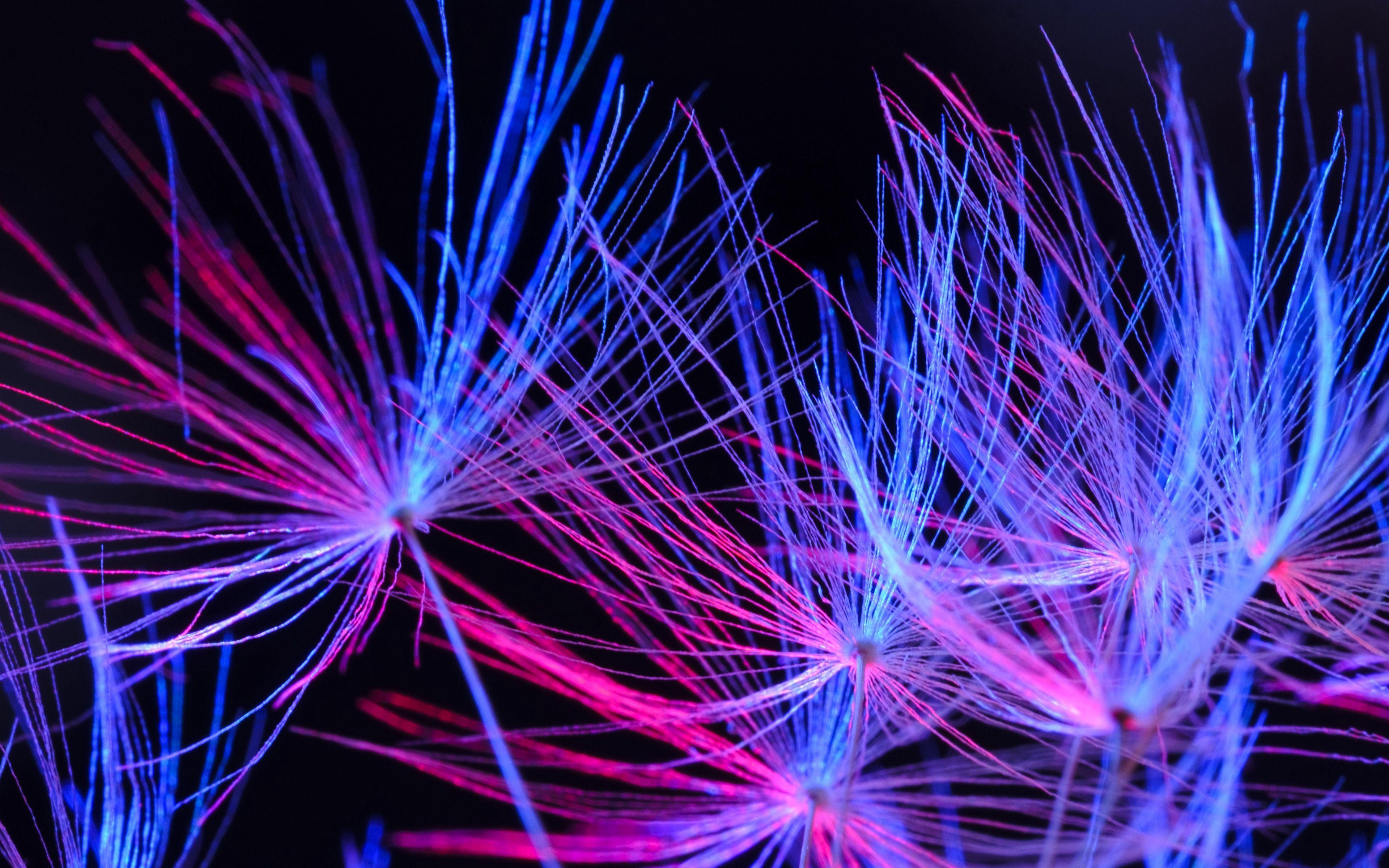 3840x2400 Download wallpaper 3840x2400 dandelion, down, color, blue, pink 4k ultra HD 16:10 HD background